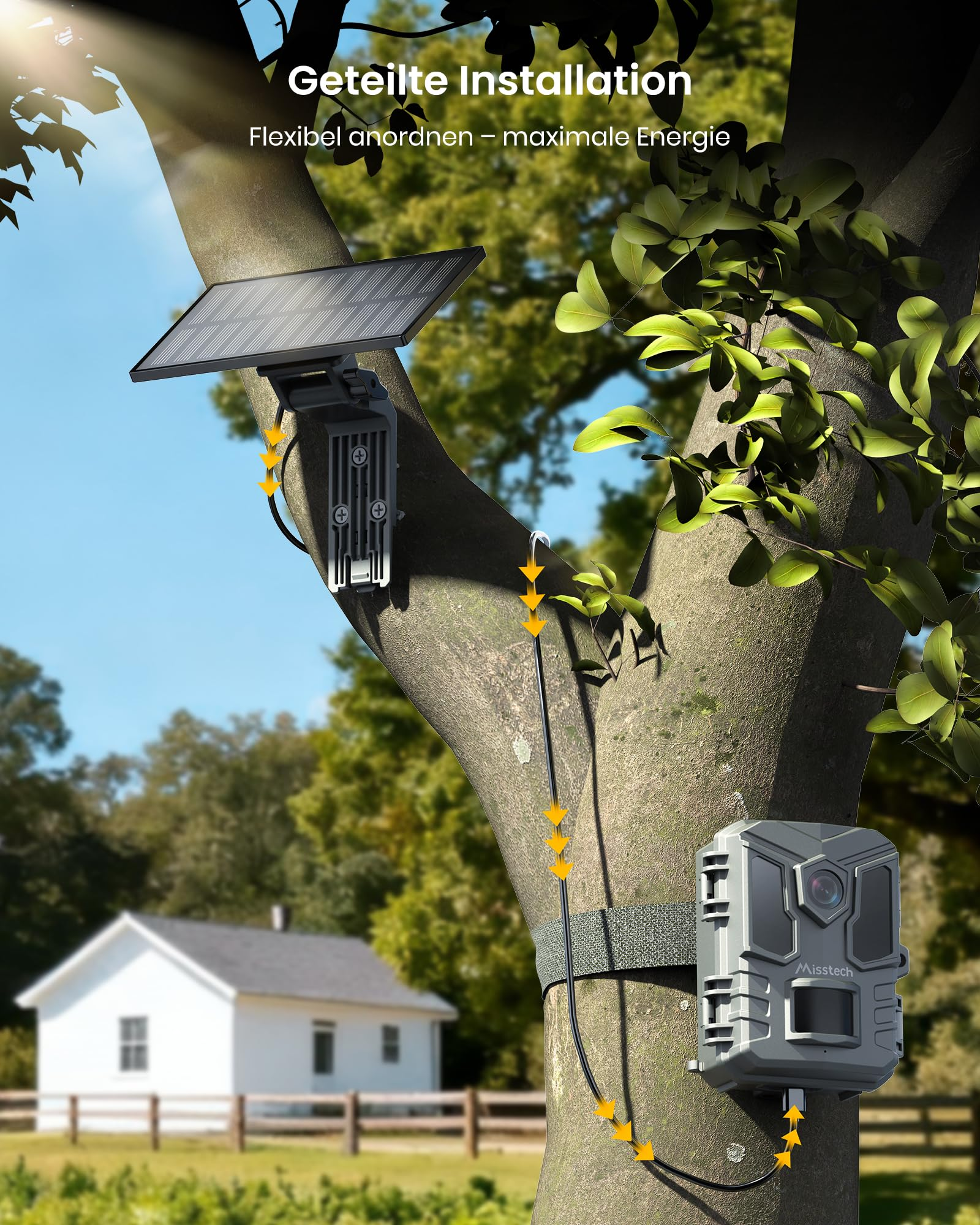 Solarpanel und Wildkamera an Baumstamm montiert mit weißem Haus im Hintergrund.