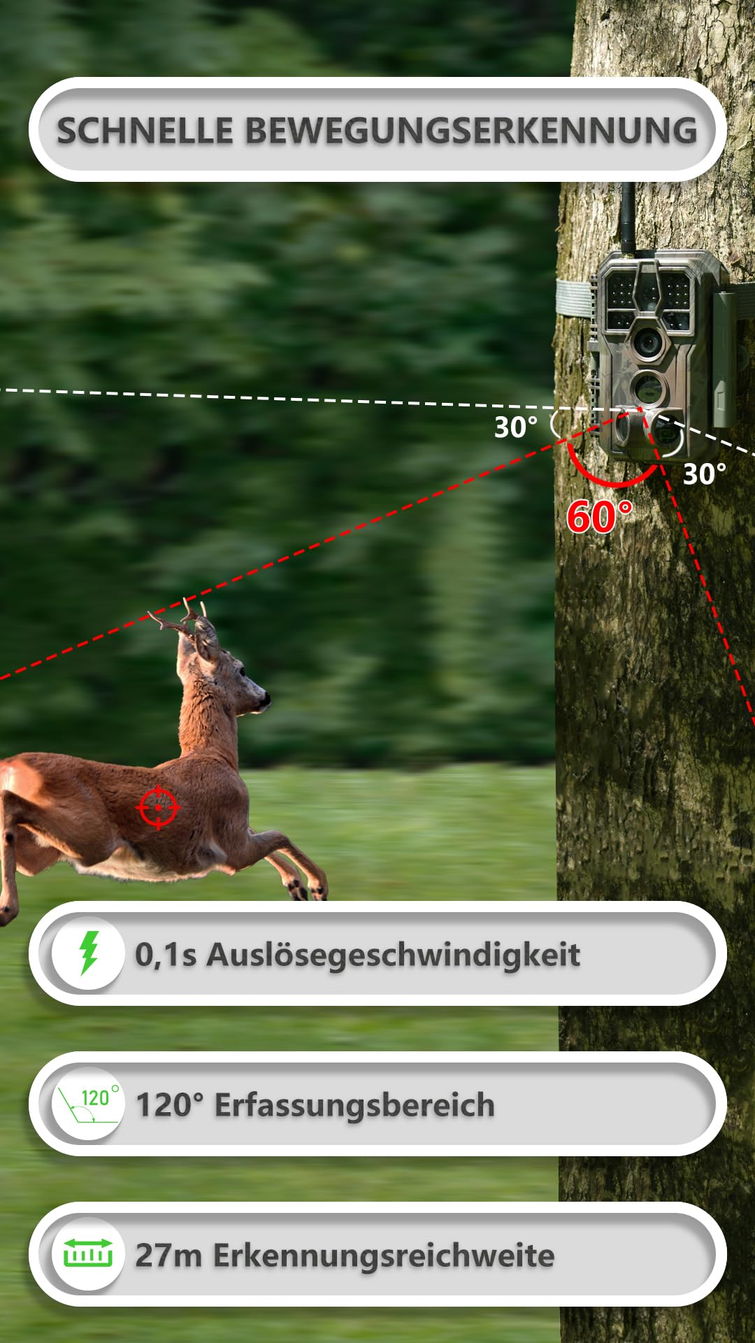 Fotocamera da caccia su albero con capriolo e dati.