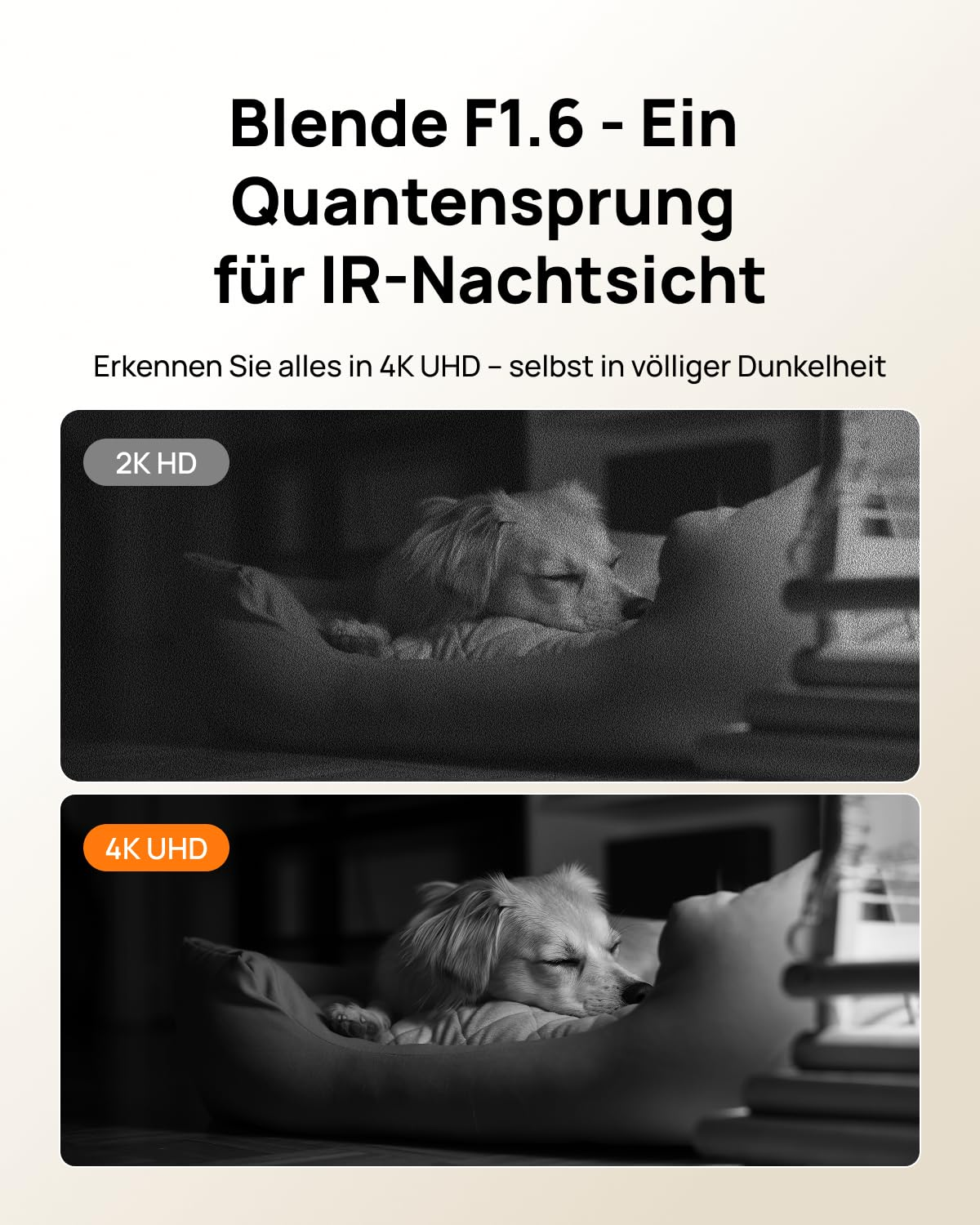 Comparaison de vision nocturne IR: 2K HD granuleux en haut et 4K UHD clair en bas avec un chien endormi.