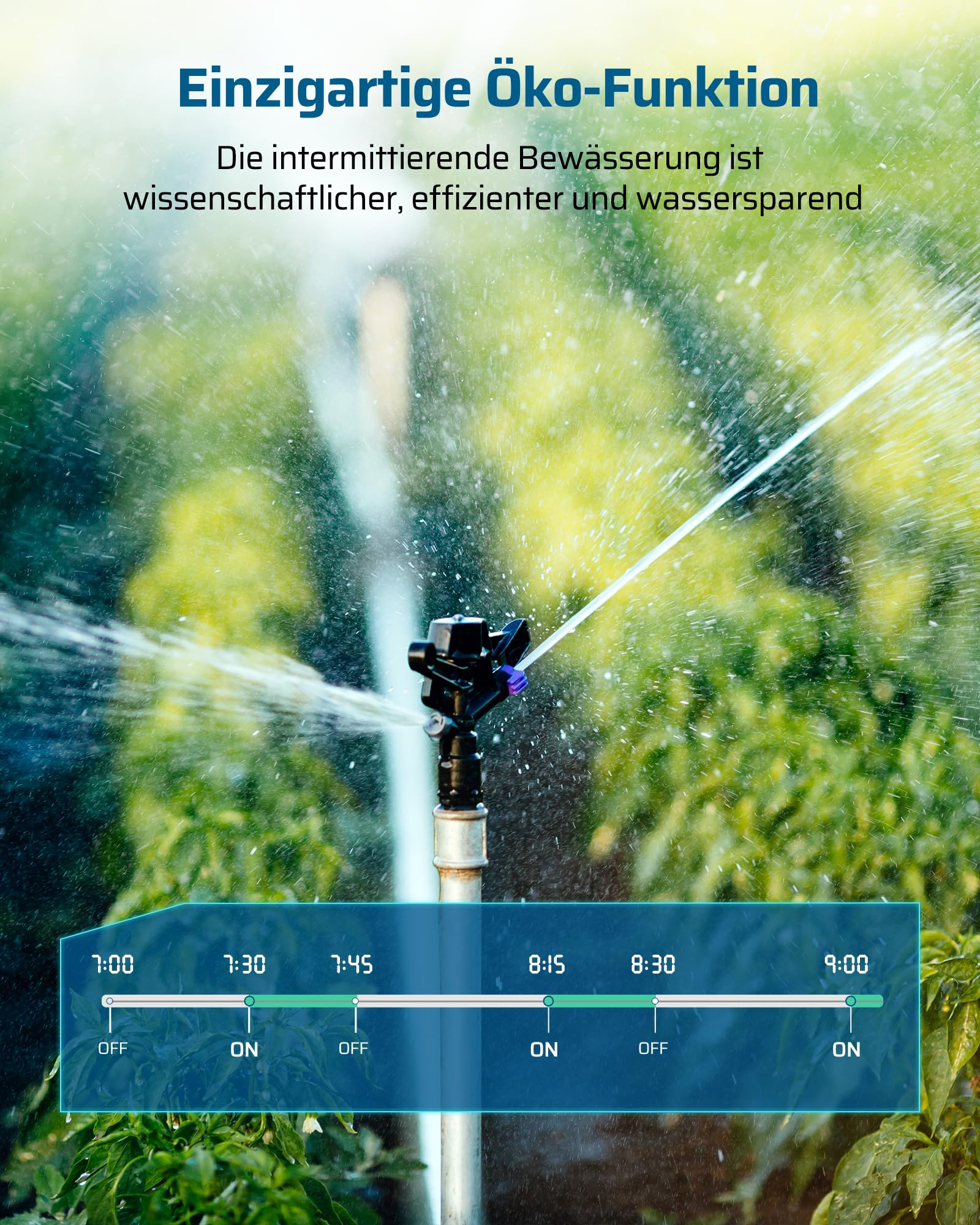 Ein Rasensprenger bewässert grüne Pflanzen mit einem Zeitplan im Vordergrund.