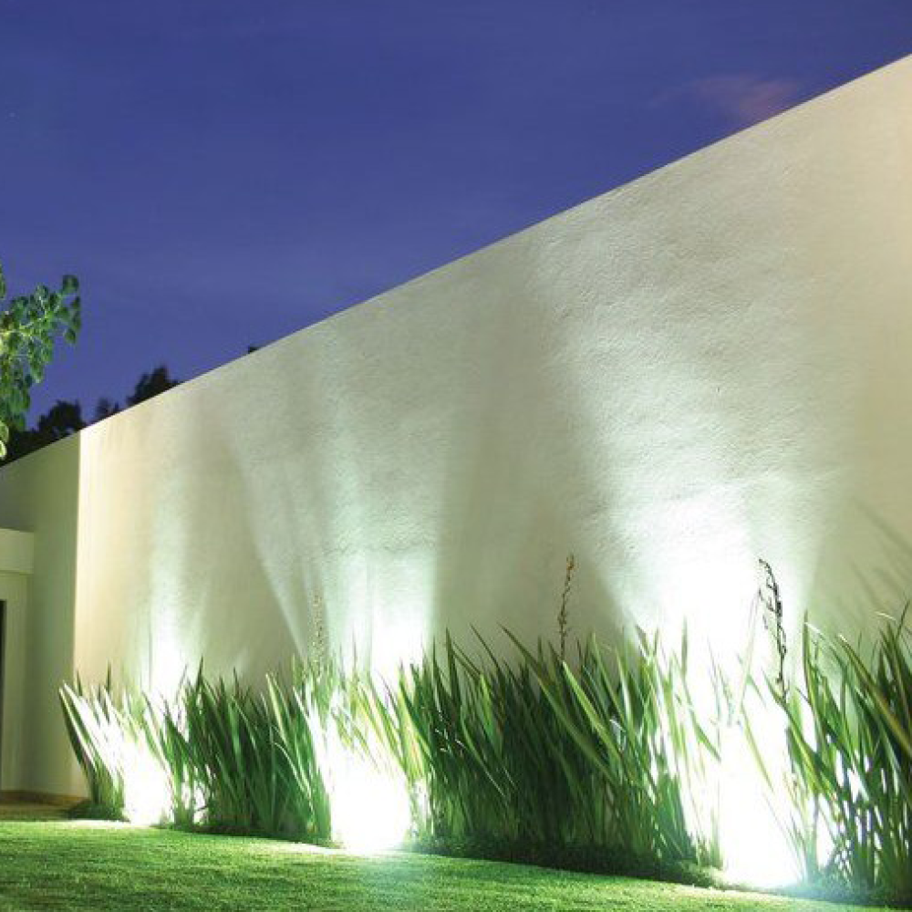 Plantas iluminadas y una pared blanca en un jardín nocturno.