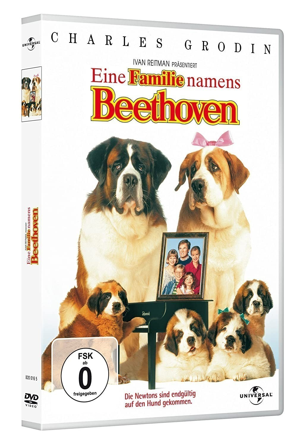 Carátula del DVD de Beethoven 2 con dos San Bernardos adultos, cachorros y un retrato familiar enmarcado.