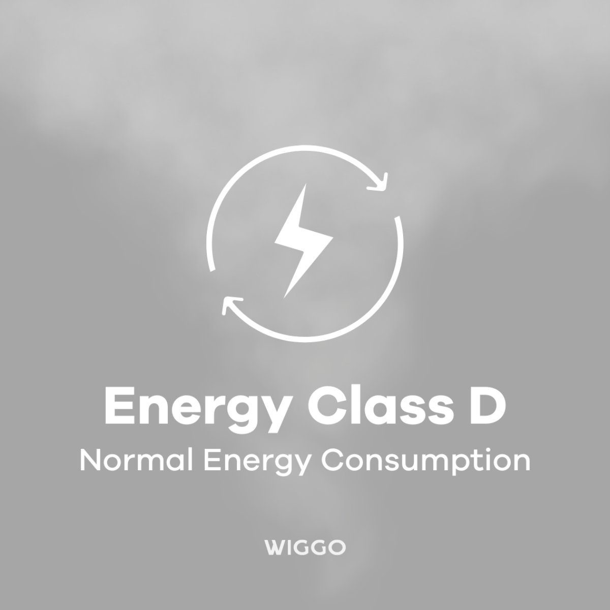 Energy Class D with a lightning bolt symbol in a circle on a gray background, and the brand name WIGGO.