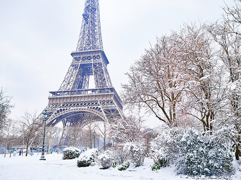 La Torre Eiffel en París se alza bajo un cielo gris de invierno, rodeada de árboles cubiertos de nieve.