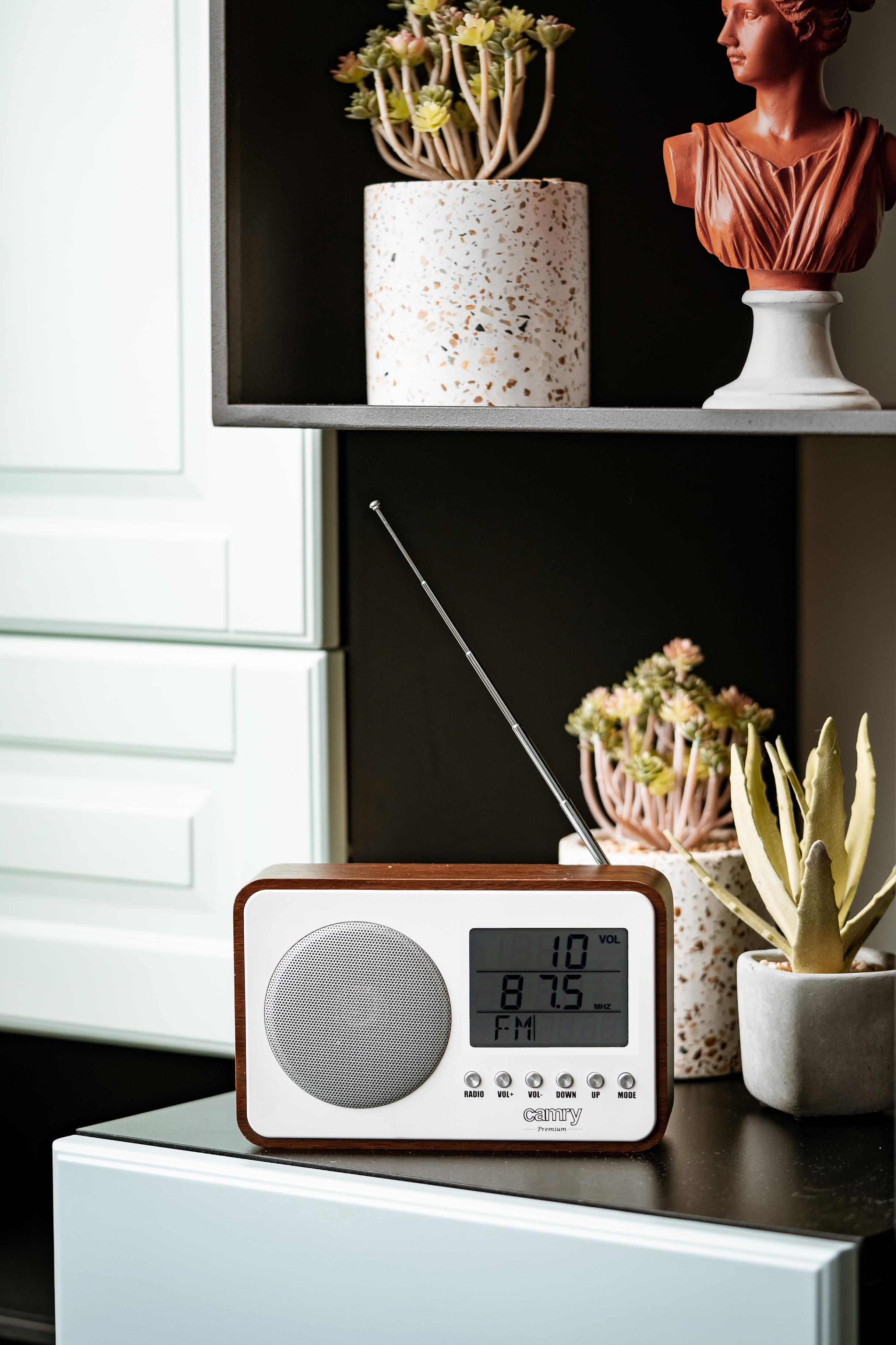 Ein Camry-Radio aus Holz mit ausgefahrener Antenne auf einem dunklen Regal mit Topfpflanzen.