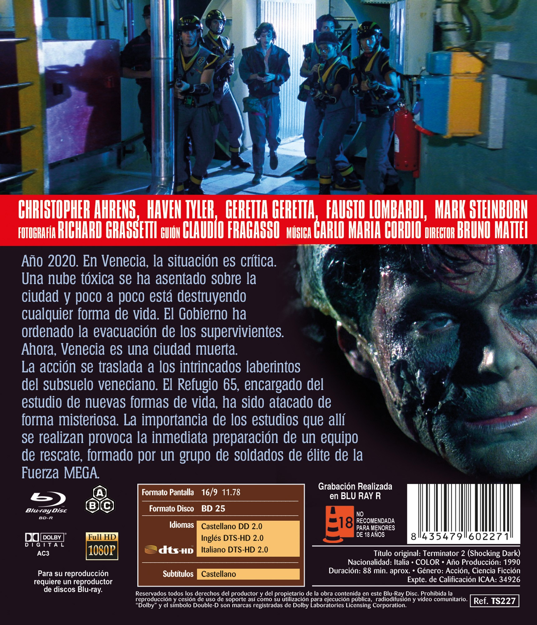 Carátula de película con soldados arriba, una persona ensangrentada a la derecha y texto.