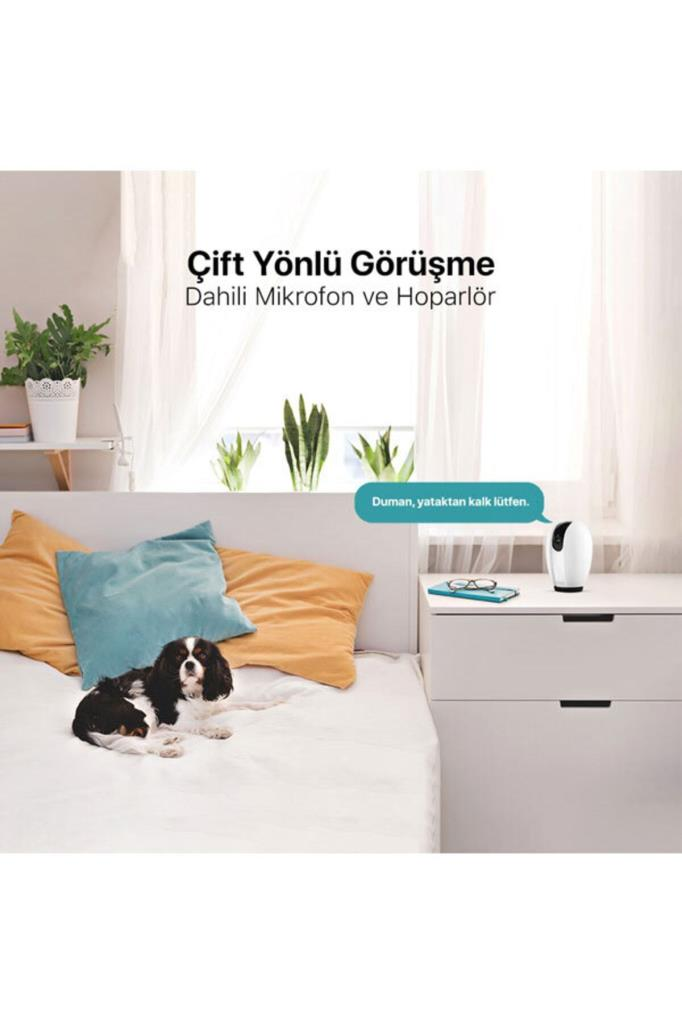 Beyaz bir yatakta yatan siyah-beyaz köpek ve yanında üzerinde küçük beyaz bir kamera olan komodin.
