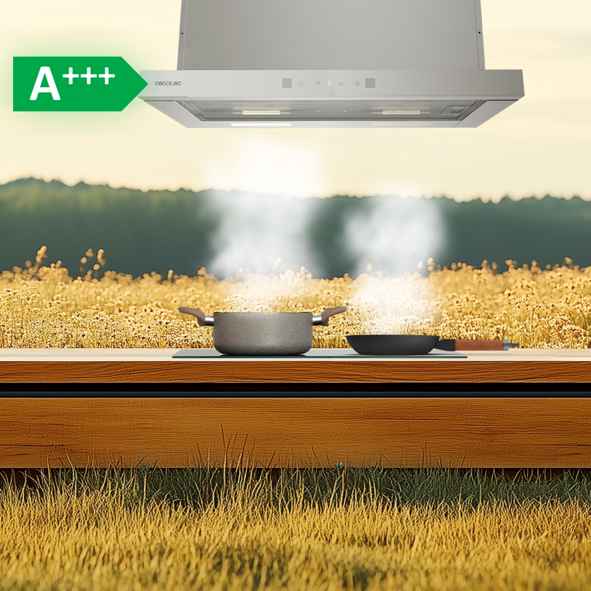 Una campana extractora sobre una olla y sartén al aire libre en un campo, con etiqueta energética A+++.