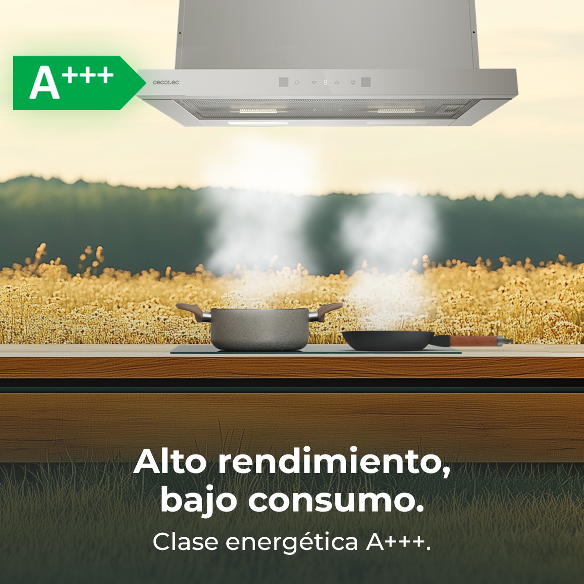 Campana extractora sobre placa ante un prado, con eficiencia energética A+++.