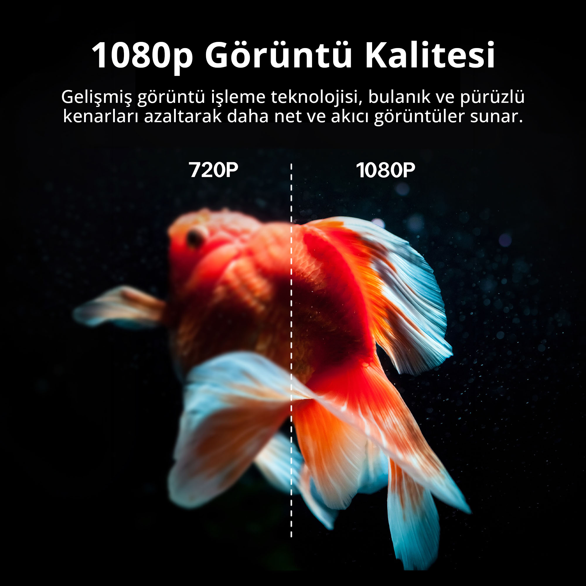 Kırmızı bir balıkla 720p ve 1080p görüntü kalitesi karşılaştırması.