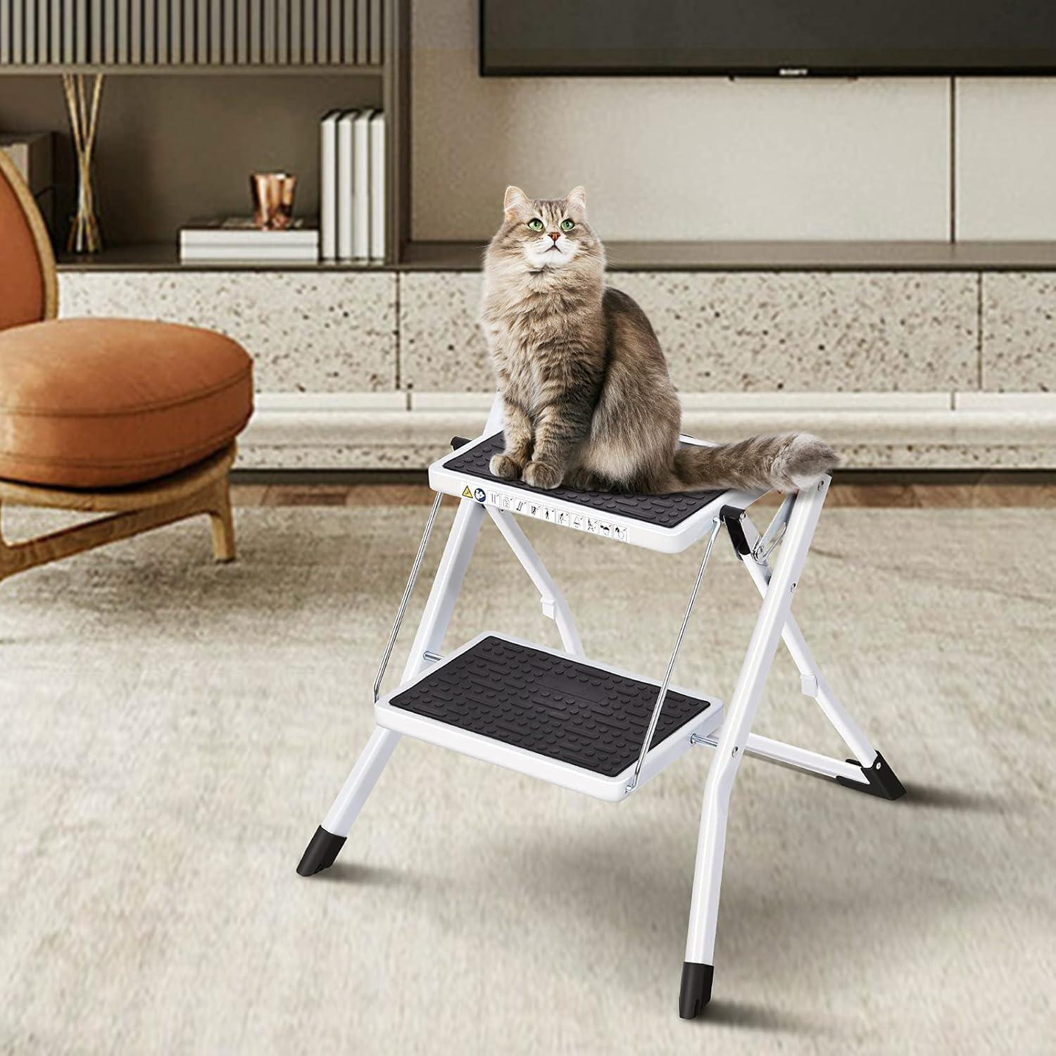 Un gatto soffice siede sul gradino superiore di una scala a pioli bianca.