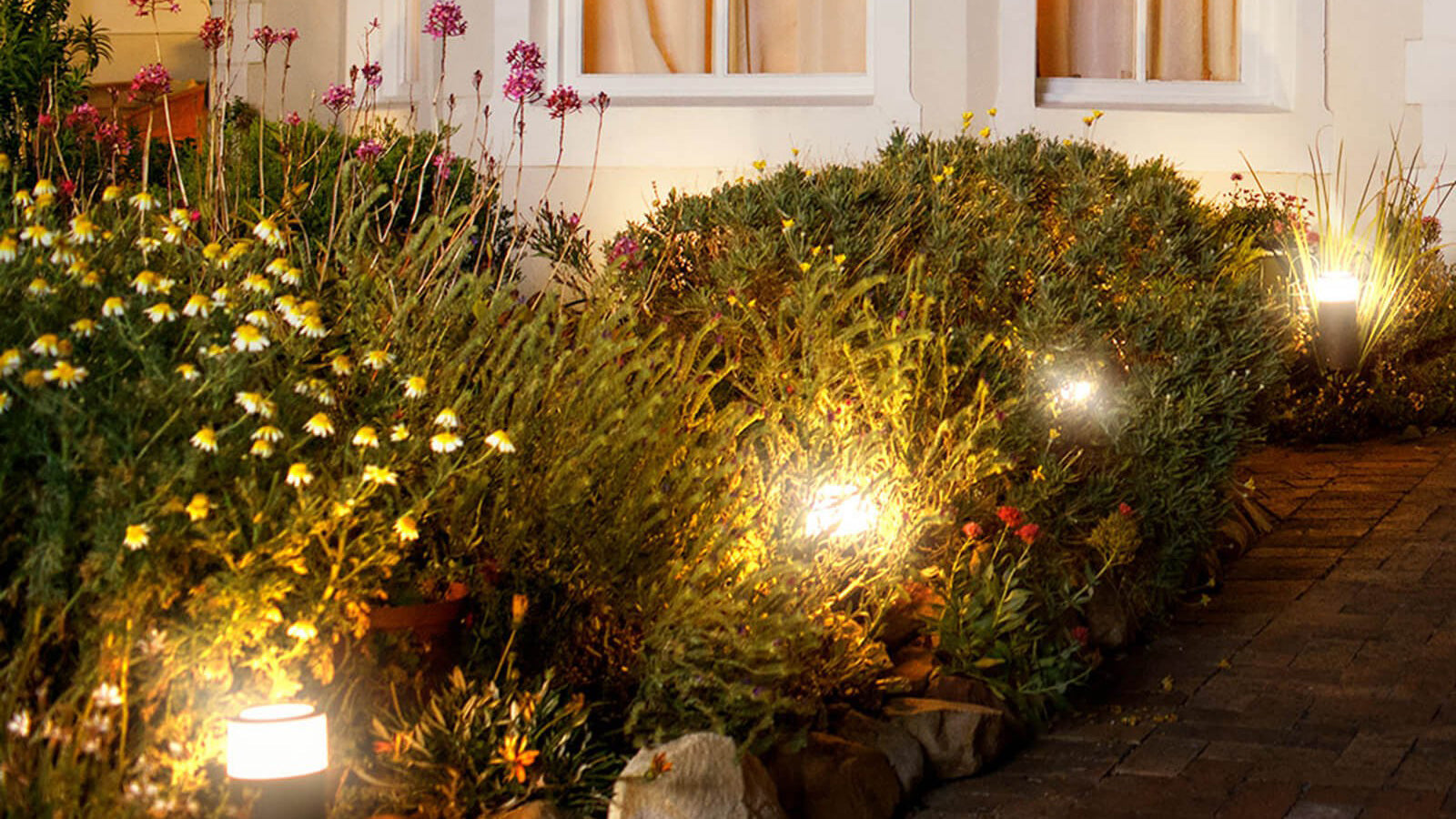 Beleuchteter Gartenpfad bei Nacht mit hellen Lampen und Pflanzen.