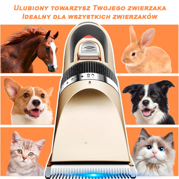 Złota maszynka do strzyżenia zwierząt w centrum z różnymi zwierzętami na pomarańczowo.