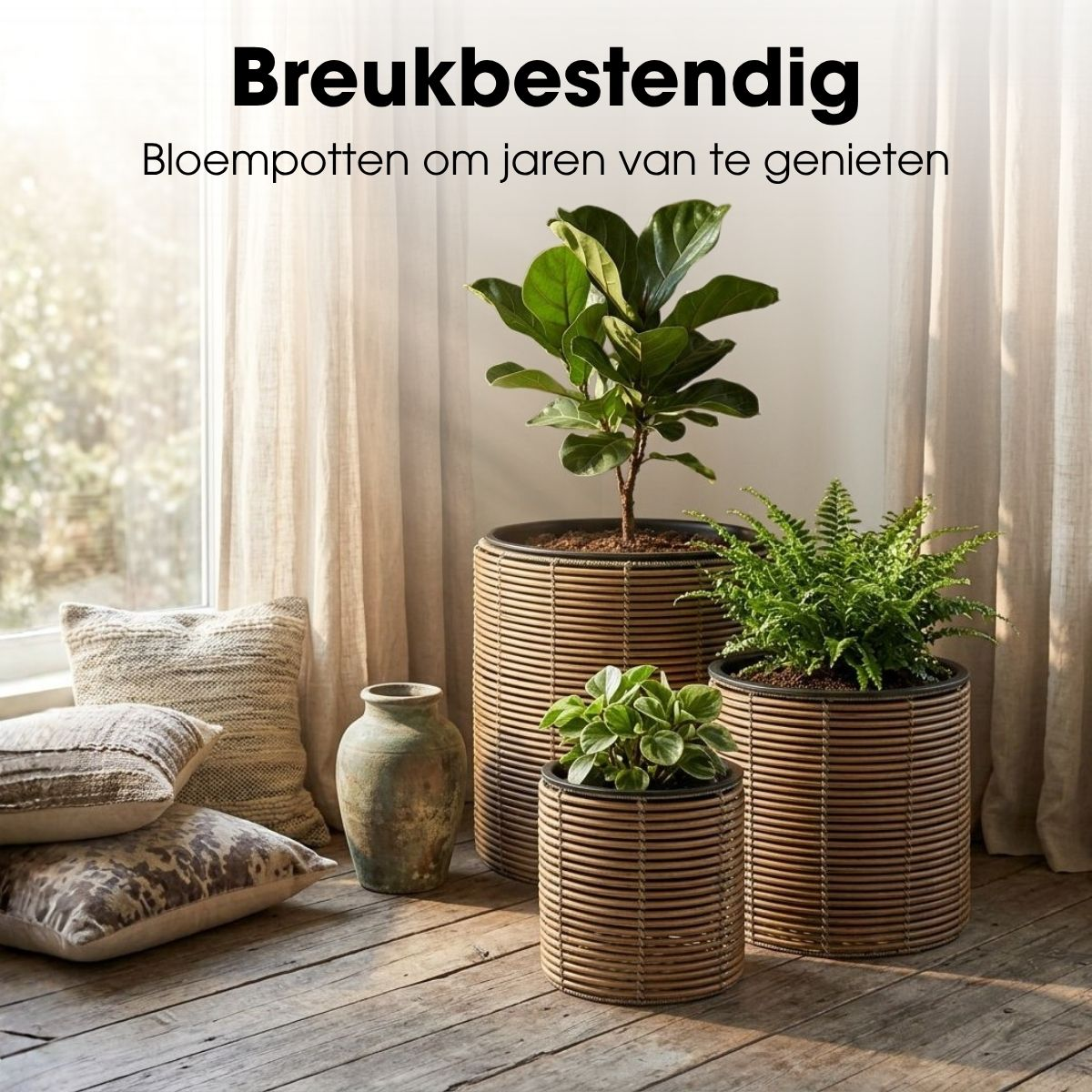 Vier geflochtene Blumentöpfe mit grünen Pflanzen auf Holzboden neben Kissen.