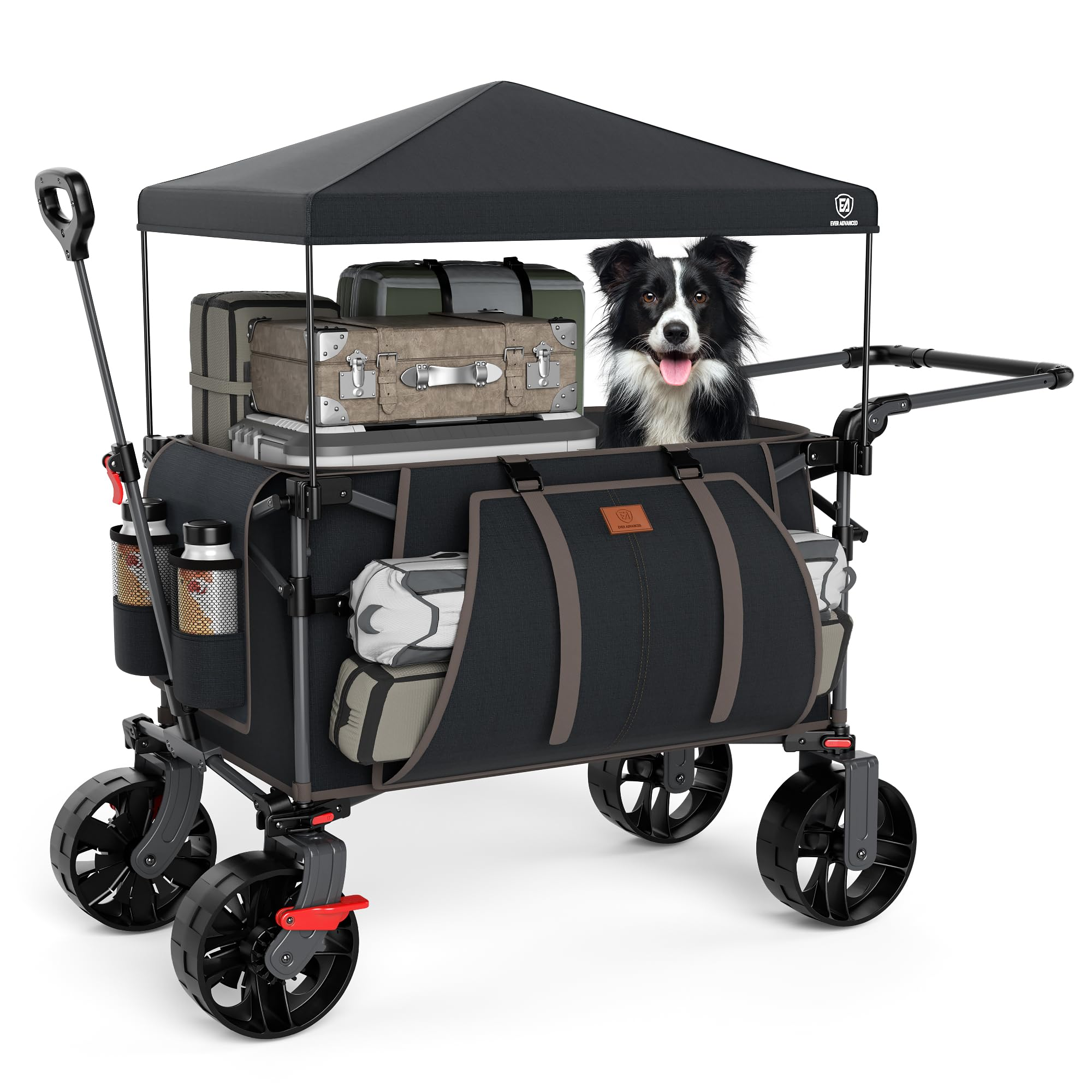 Un chariot utilitaire noir avec toit, bagages et un Border Collie assis à l'intérieur sur fond blanc.