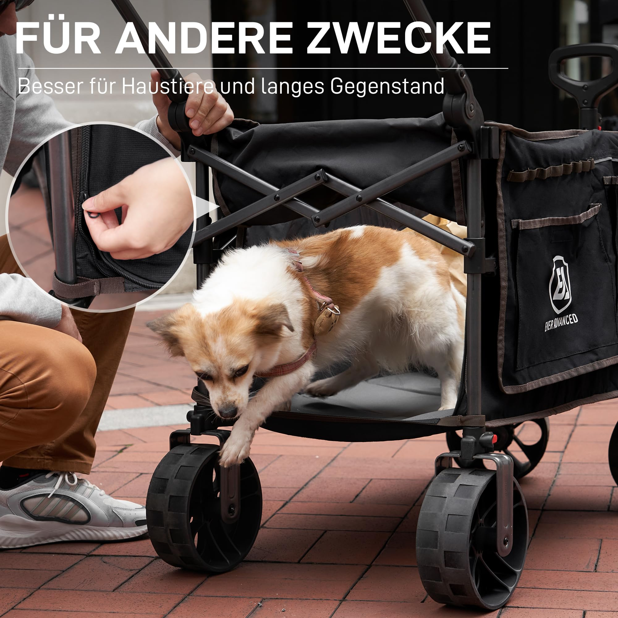 Un chien entre dans un chariot utilitaire noir pendant qu'une main ouvre une fermeture éclair.