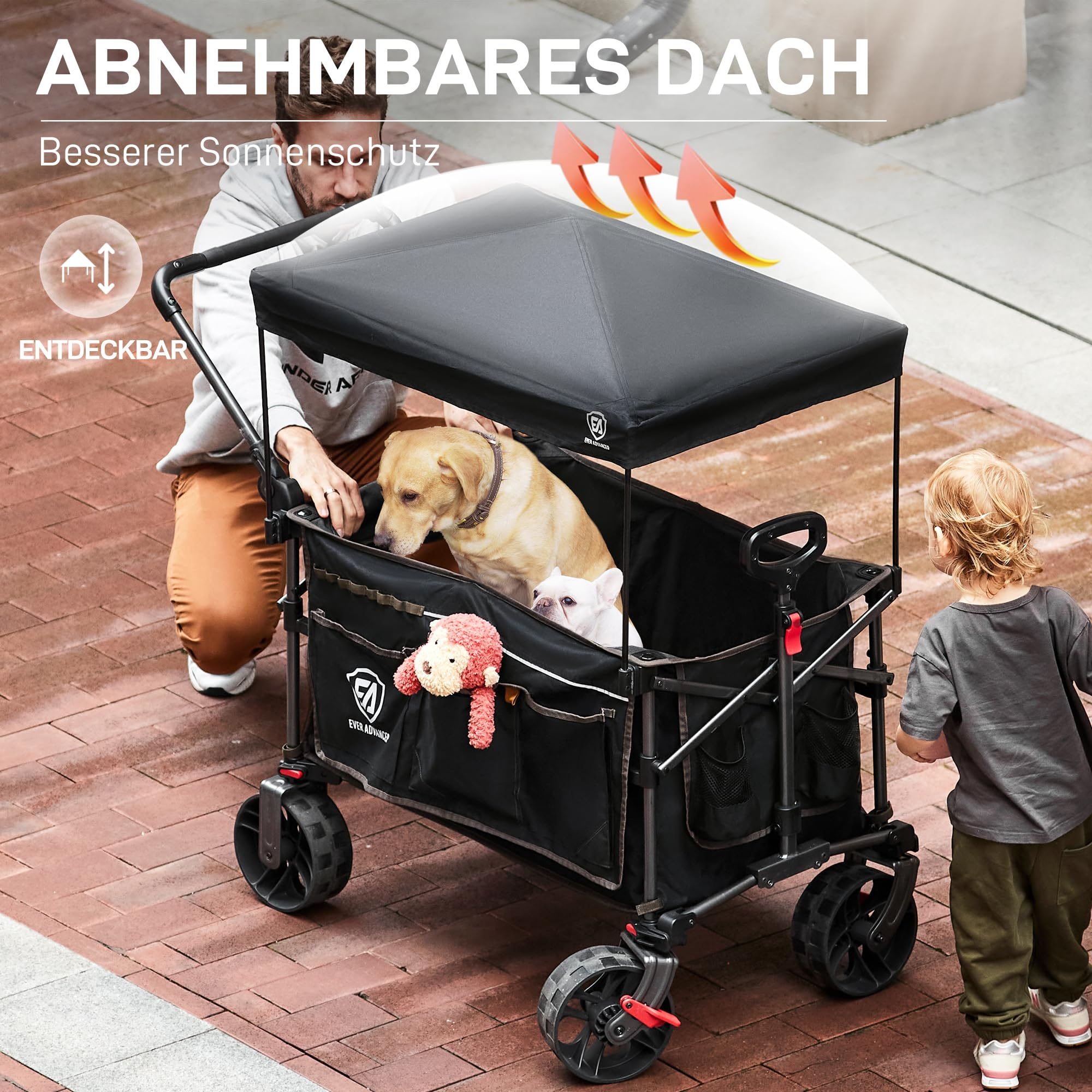 Un homme et un enfant avec un chariot noir transportant des chiens.