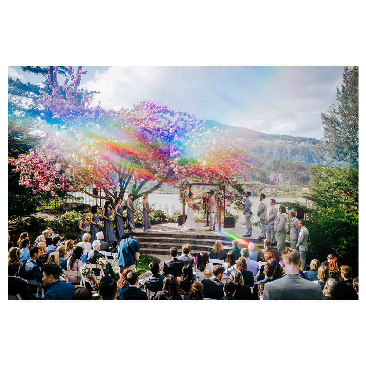 Cerimonia di nozze all'aperto sotto un albero rosa in fiore con un effetto arcobaleno e ospiti seduti.
