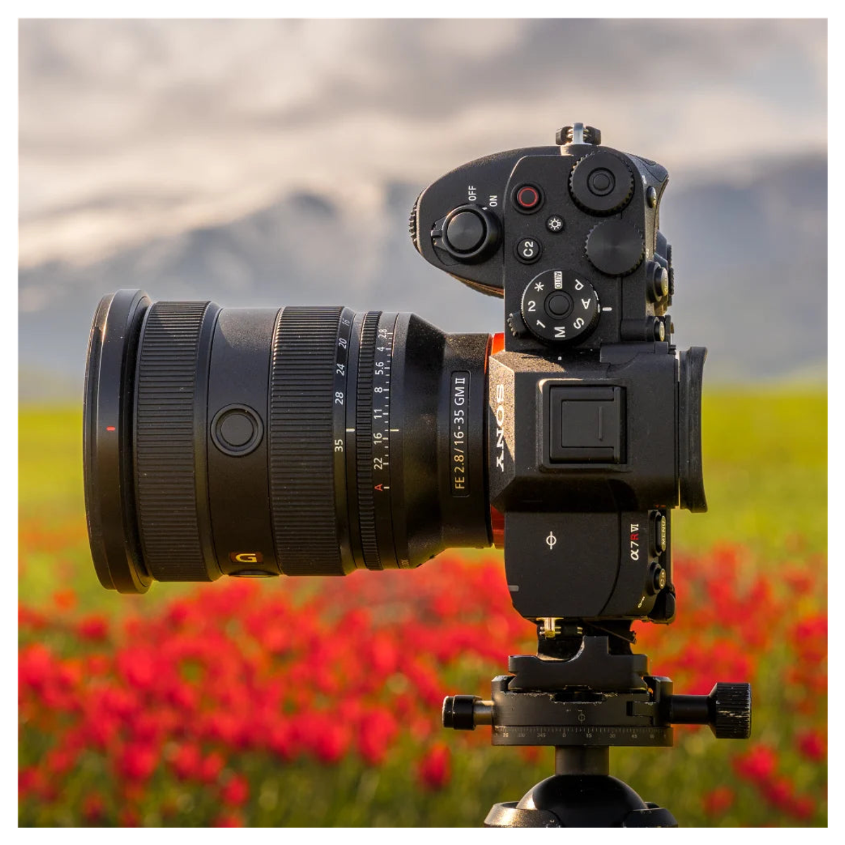 Kırmızı çiçekli bir çayır ve dağların önünde tripoda monte edilmiş siyah bir Sony kamera.
