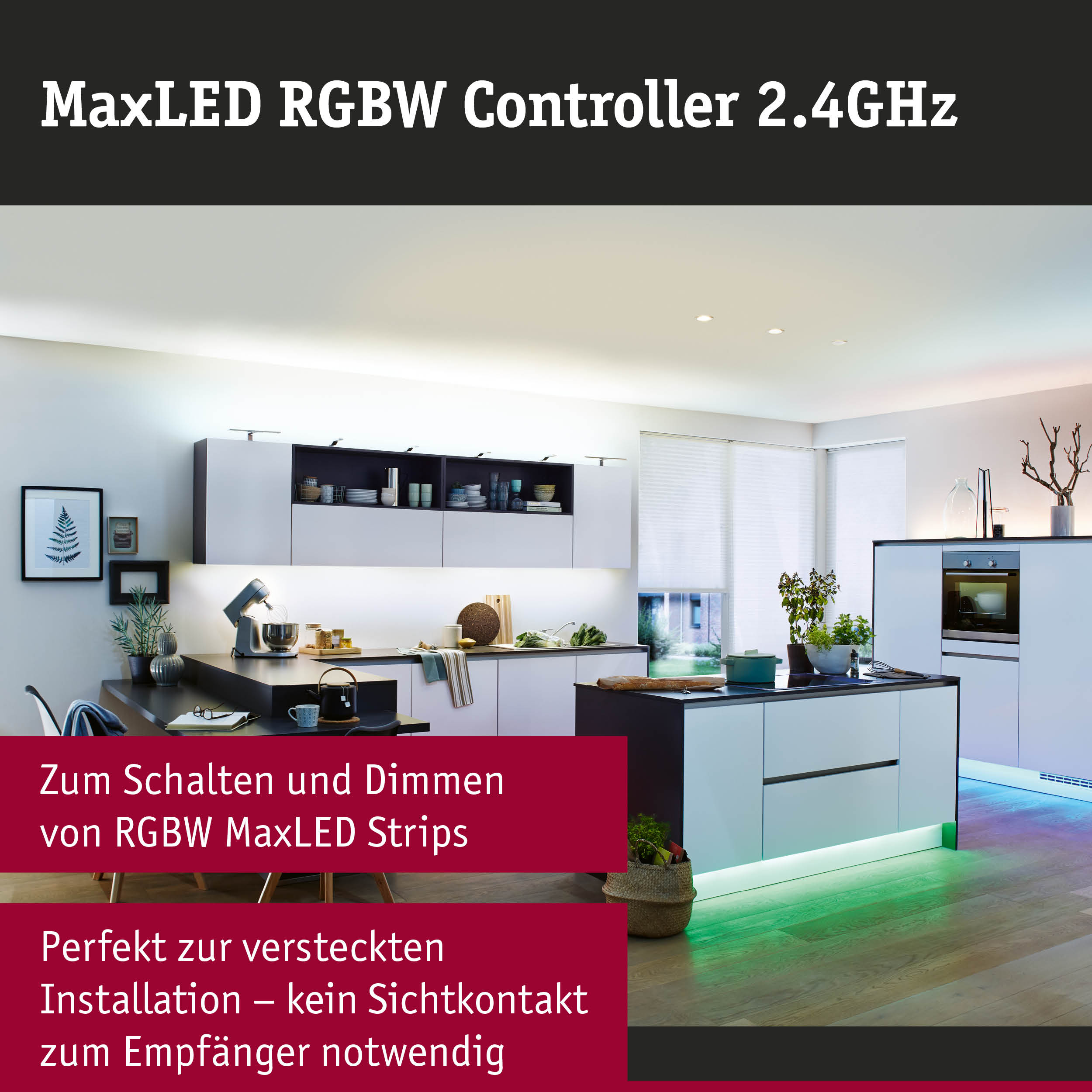 Moderne weiße Küche mit indirekter Beleuchtung unter den Schränken und an der Kochinsel.