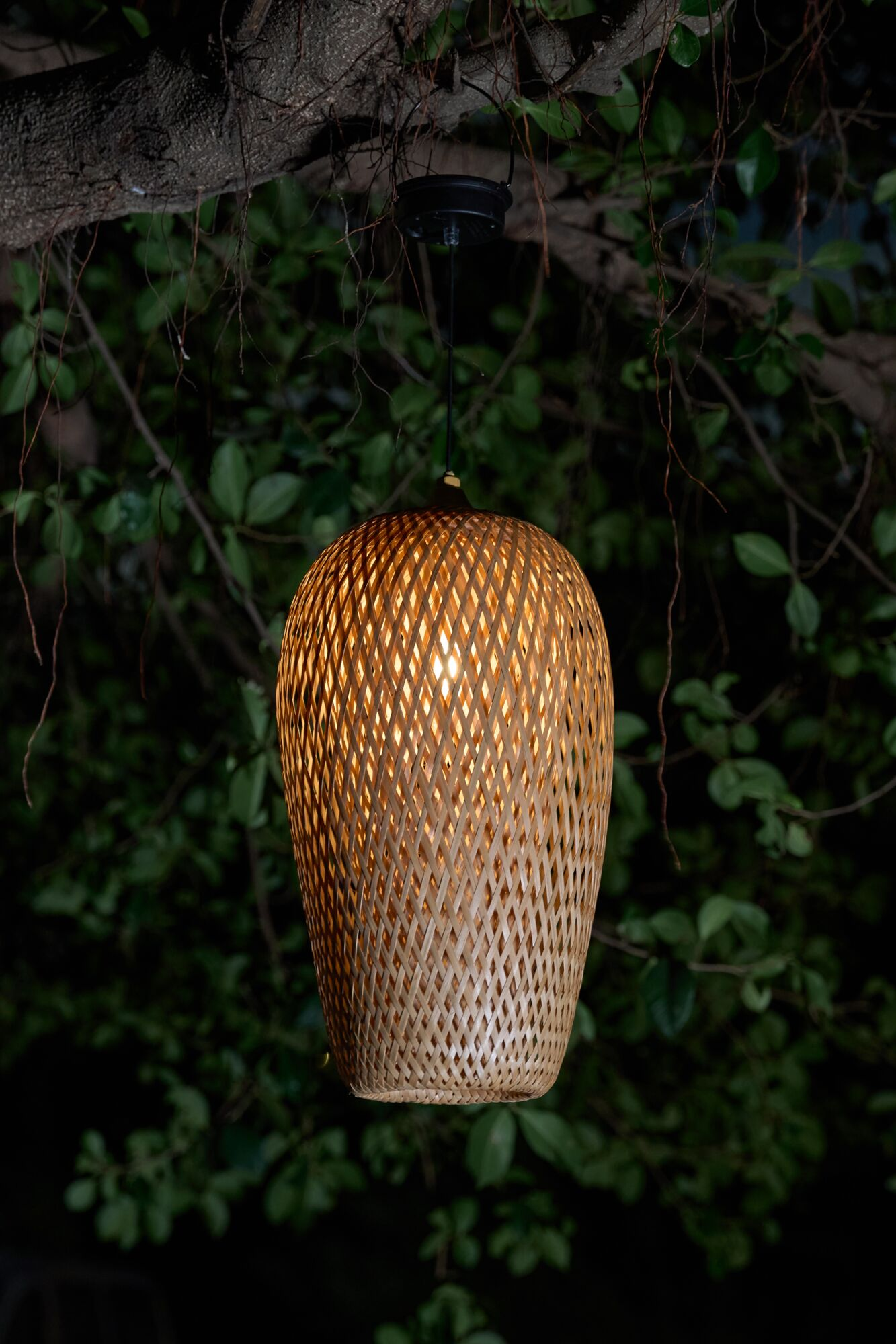 Eine geflochtene Bambuslampe hängt nachts von einem Ast, umgeben von grünem Laub.