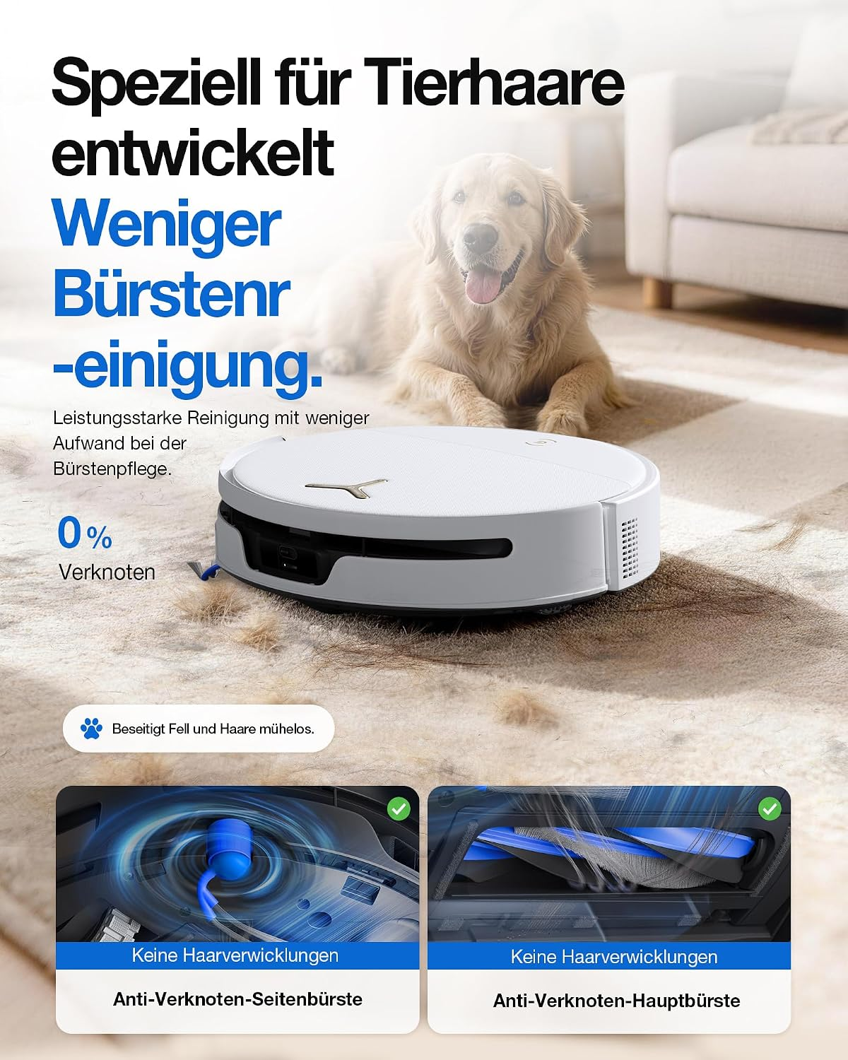 Robot aspirador blanco en una alfombra con un golden retriever y dos pequeñas imágenes.