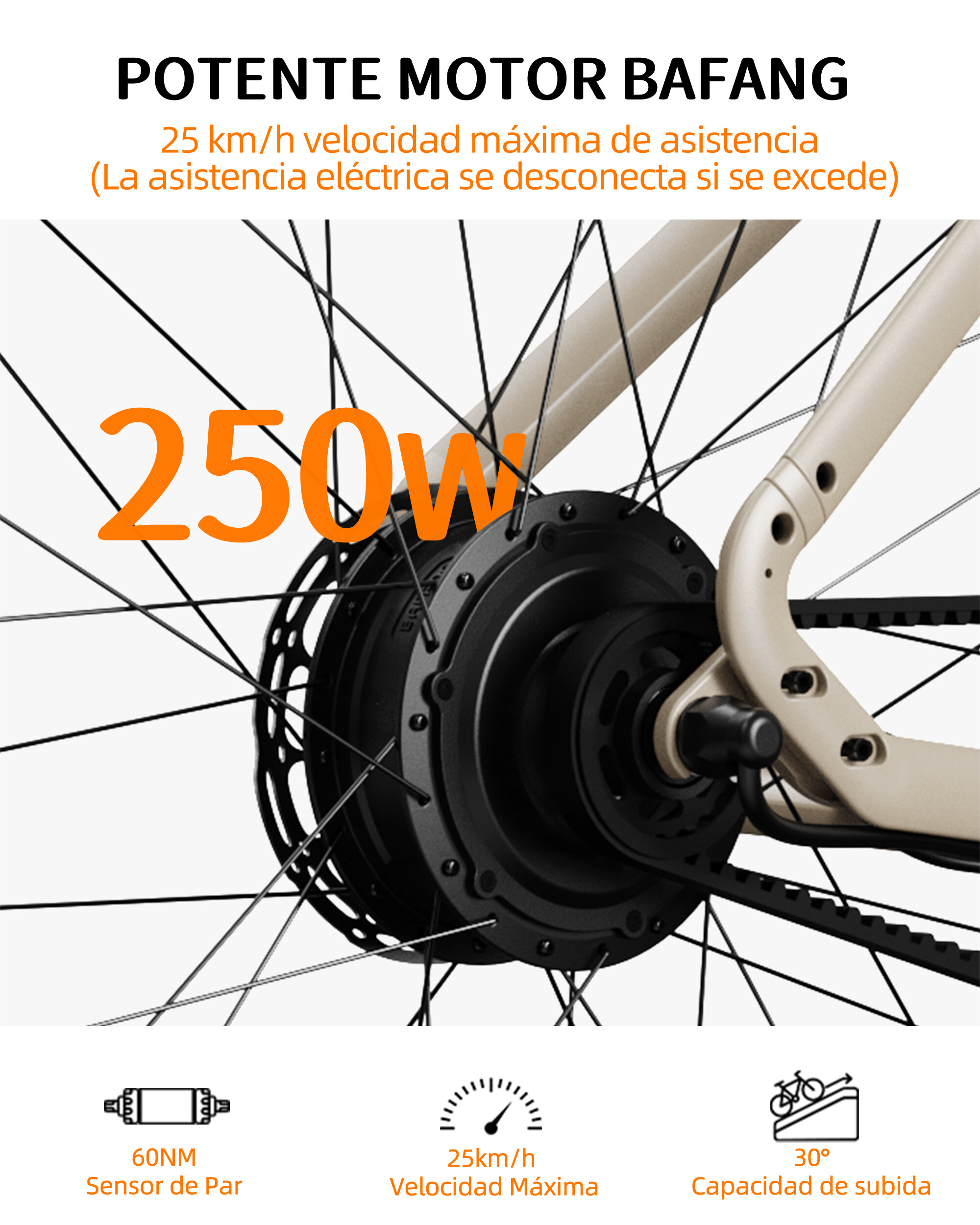 Silnik w tylnej piaskownicy roweru o mocy 250W z hiszpańskim tekstem.
