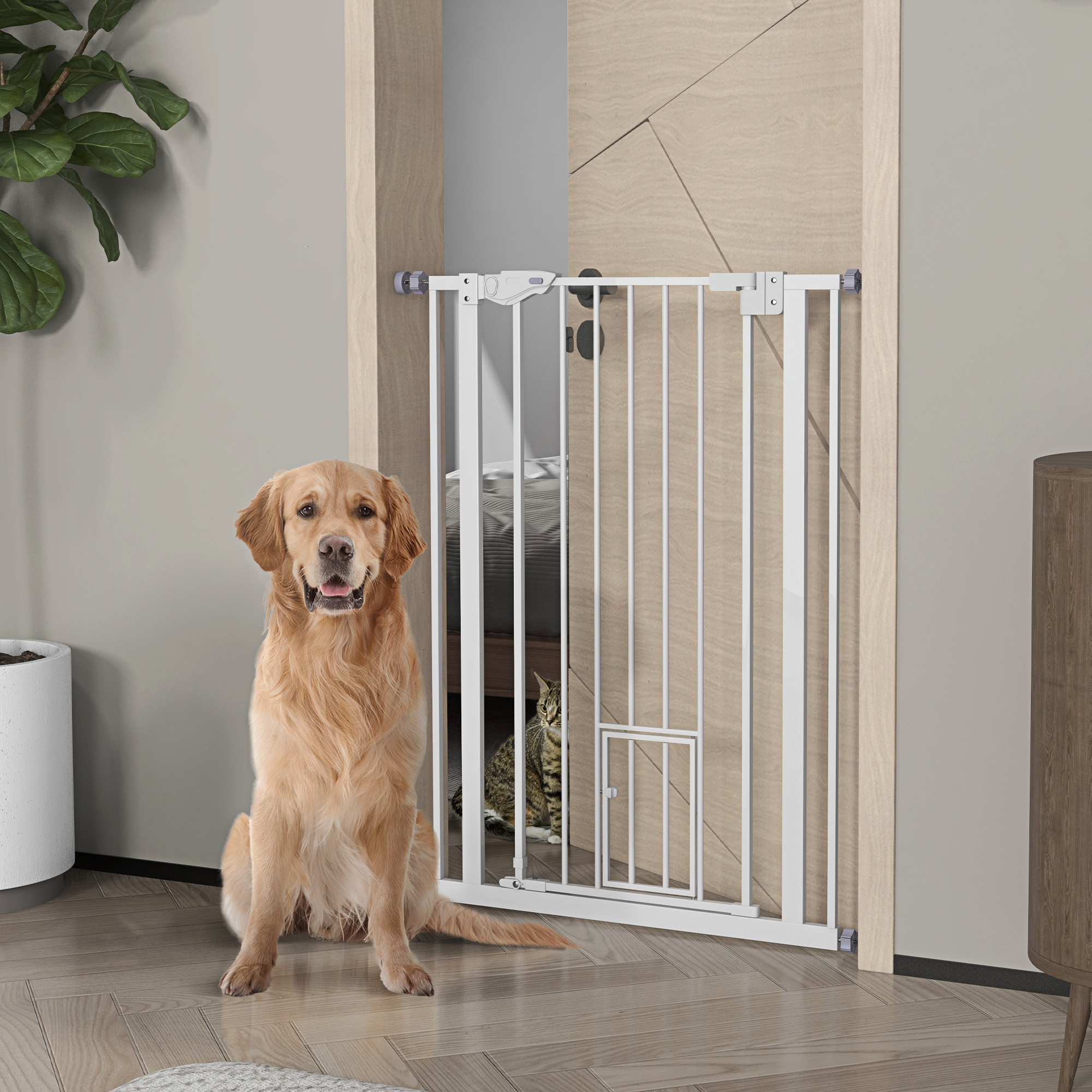 Un golden retriever se sienta frente a una puerta para mascotas en una puerta, mientras un gato se asoma detrás.
