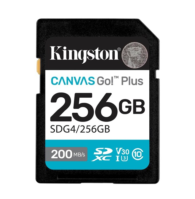 Beyaz arka planda mavi ve siyah detaylara sahip bir Kingston Canvas Go! Plus 256GB SD hafıza kartı.