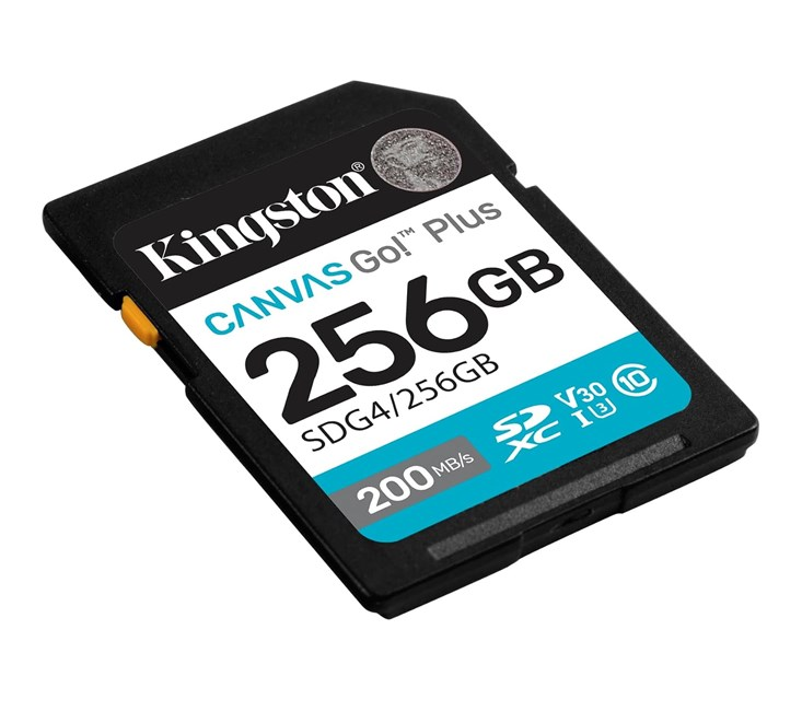 Beyaz arka planda siyah Kingston Canvas Go! Plus 256GB SD hafıza kartı.