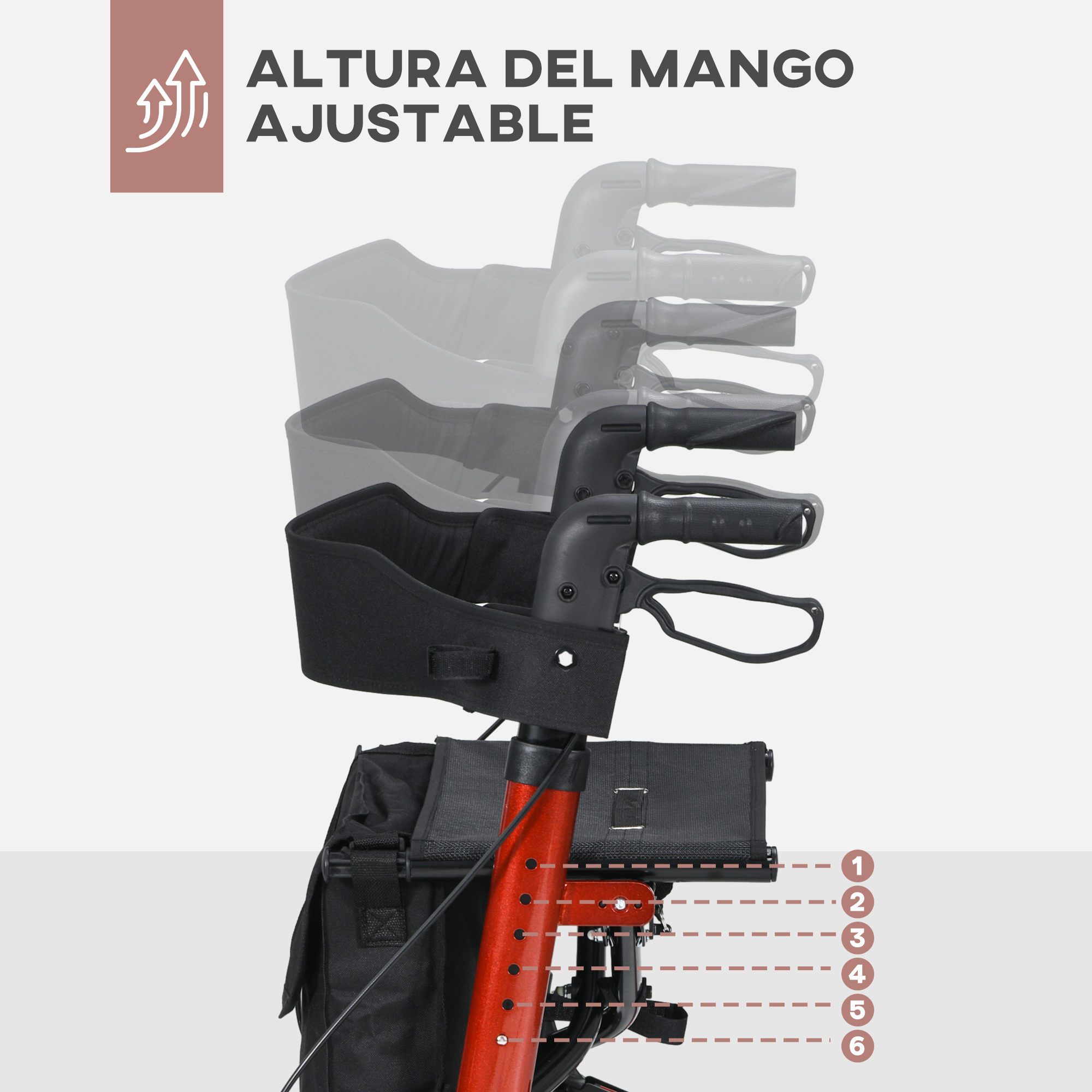 Diagrama que muestra la altura del mango ajustable de un andador rojo con puntos numerados.