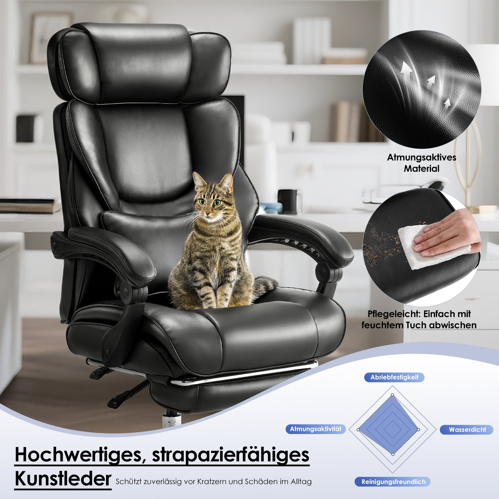 Eine getigerte Katze sitzt auf einem schwarzen Ledersessel in einem Büro. Insets zeigen Materialdetails.
