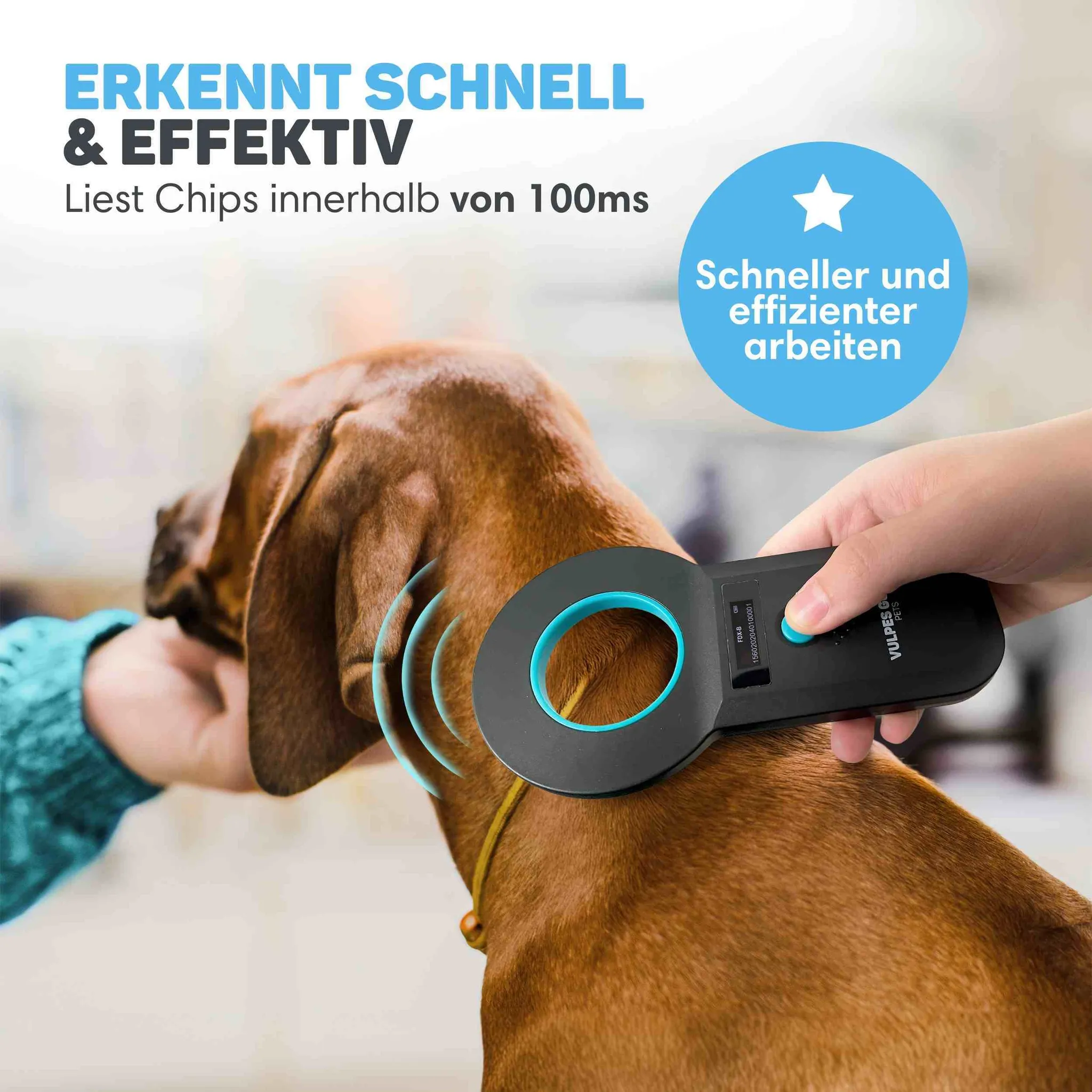 Hand hält einen Mikrochip-Scanner nah an den Hals eines braunen Hundes.