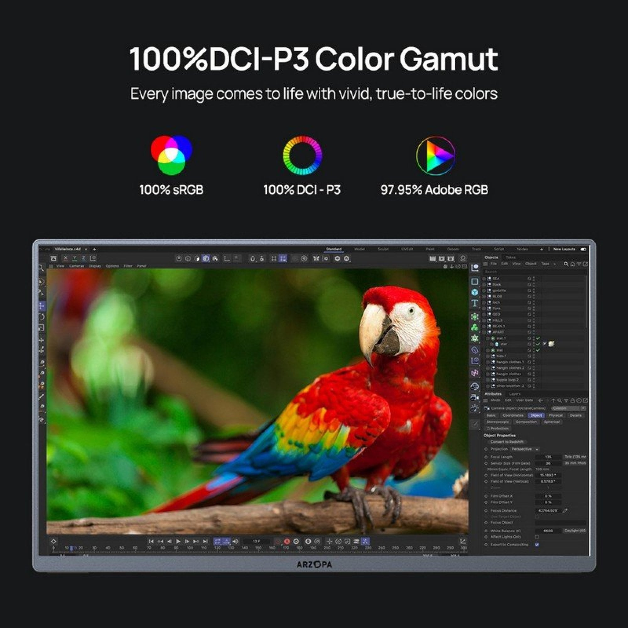 Schermo che mostra un pappagallo colorato con gamut DCI-P3 al 100%.