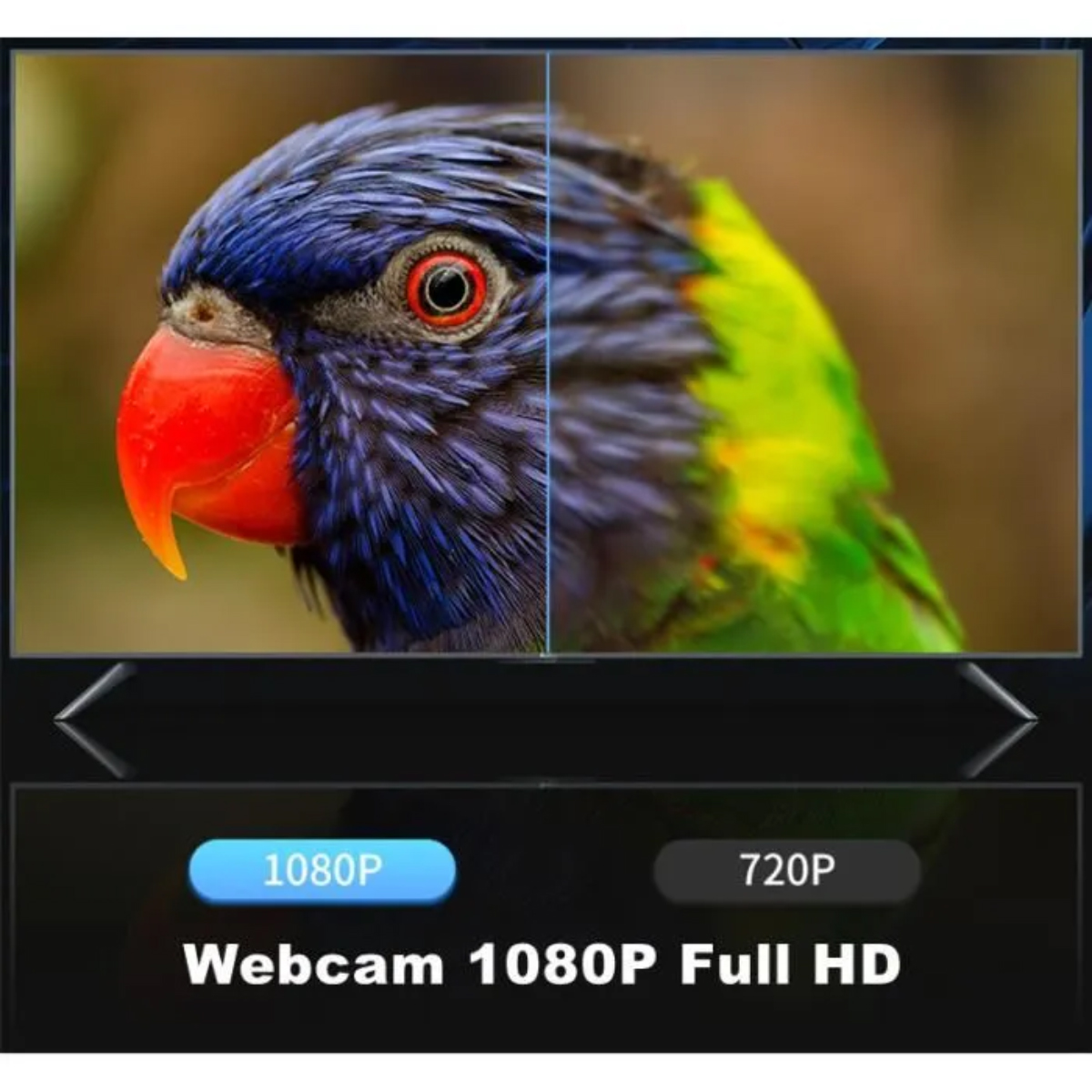 Vergleichsbild eines Papageien auf einem Bildschirm, links 1080P und rechts 720P, mit der Aufschrift Webcam 1080P Full HD.