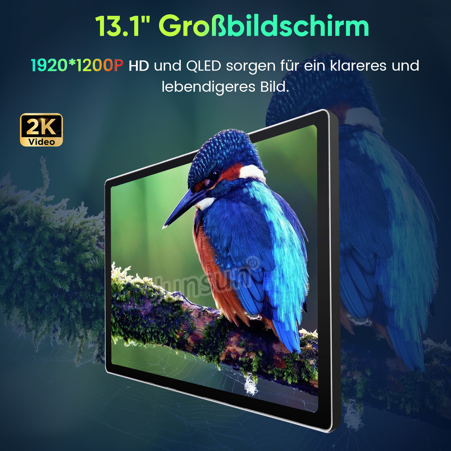 Ein 13,1-Zoll-Bildschirm zeigt einen blauen und roten Eisvogel auf einem moosigen Ast.