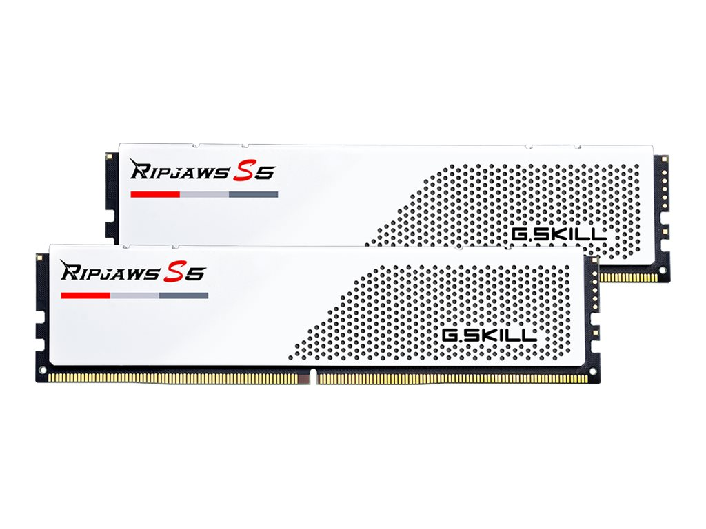 Zwei weiße G.SKILL Ripjaws S5 DDR5 RAM-Stäbe mit perforiertem Design auf weißem Hintergrund.