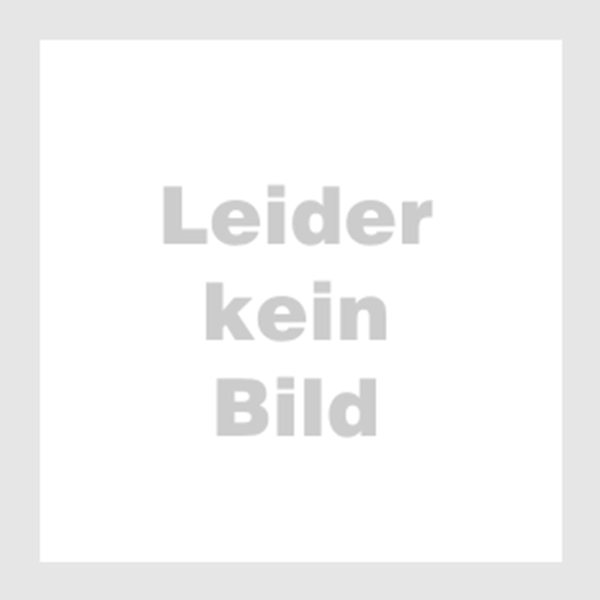 Ein graues Bild mit der Aufschrift Leider kein Bild.