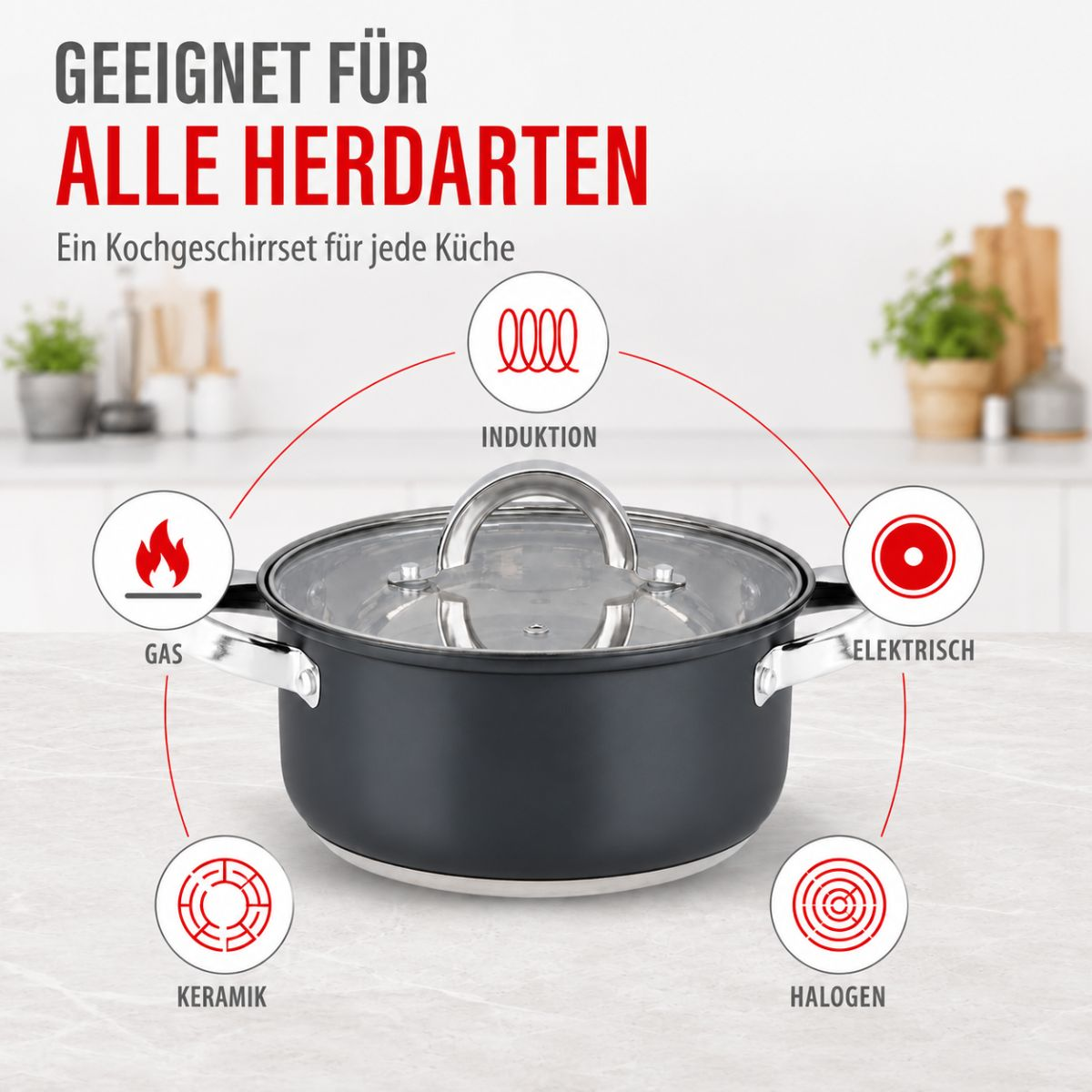 Ein schwarzer Kochtopf auf einer Küchenarbeitsplatte, umgeben von Symbolen für verschiedene Herdarten.