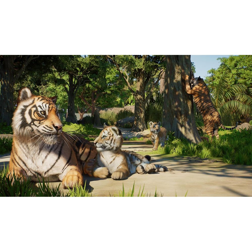 Un tigre adulte et ses petits se reposent dans un enclos ensoleillé avec des arbres et un autre tigre grimpant.