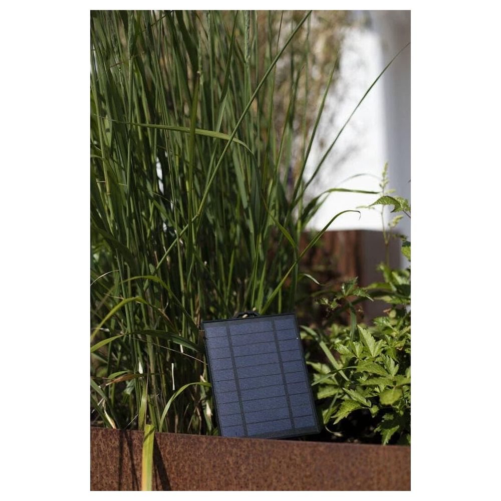 Ein kleines Solarmodul in einer Metallschale mit hohen grünen Gräsern.