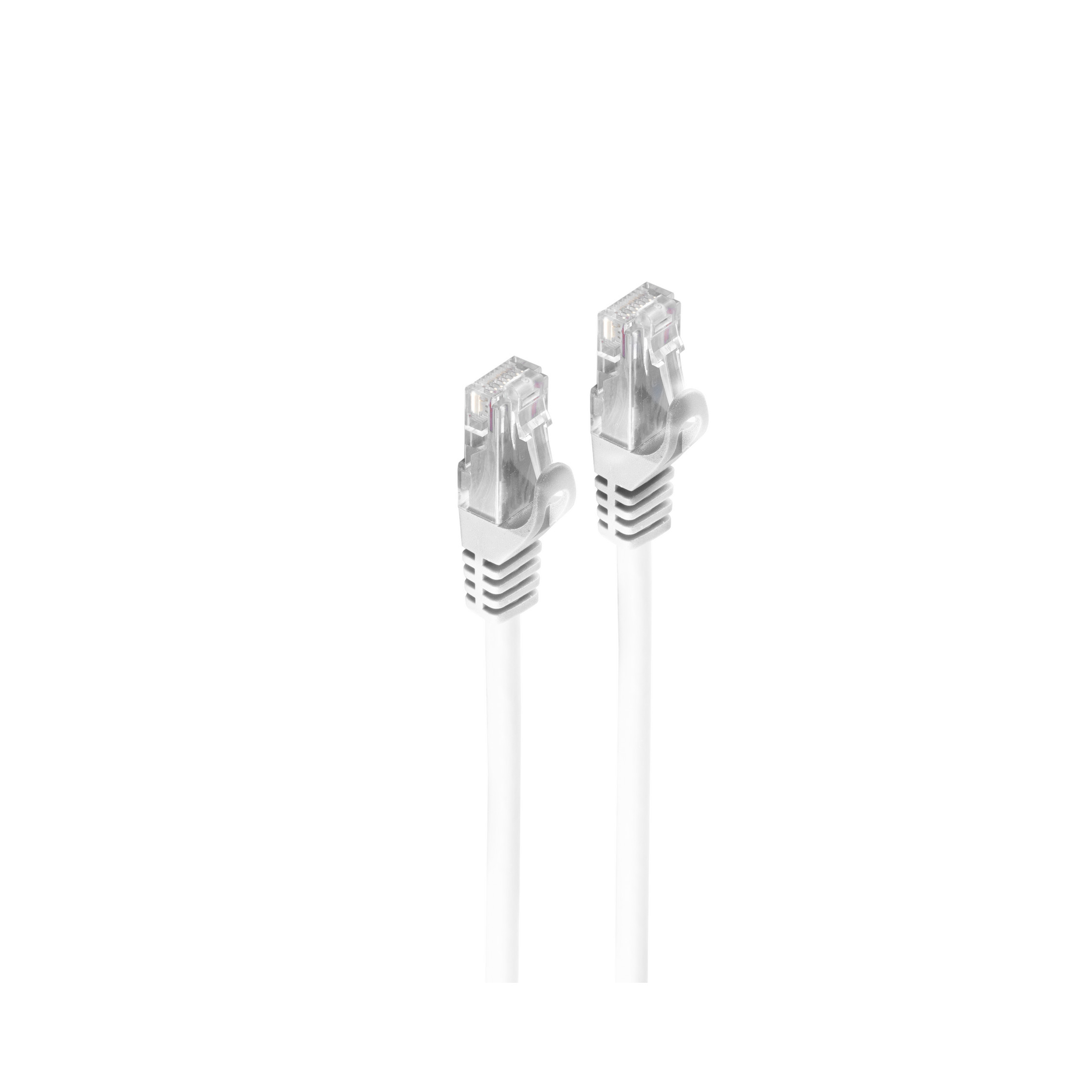 Due cavi Ethernet bianchi con connettori trasparenti su sfondo bianco.