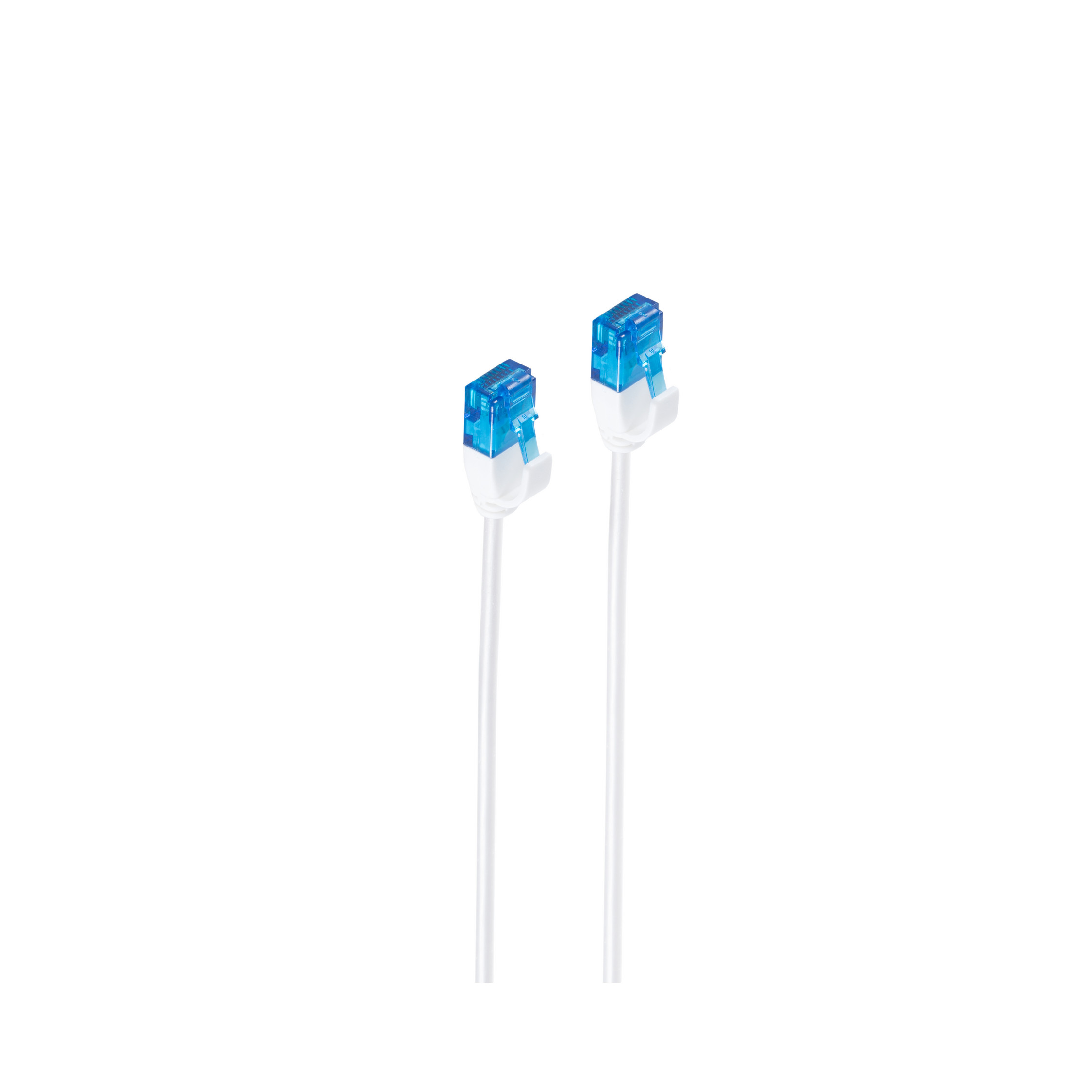 Zwei weiße Netzwerkkabel mit blauen Steckern auf weißem Hintergrund.