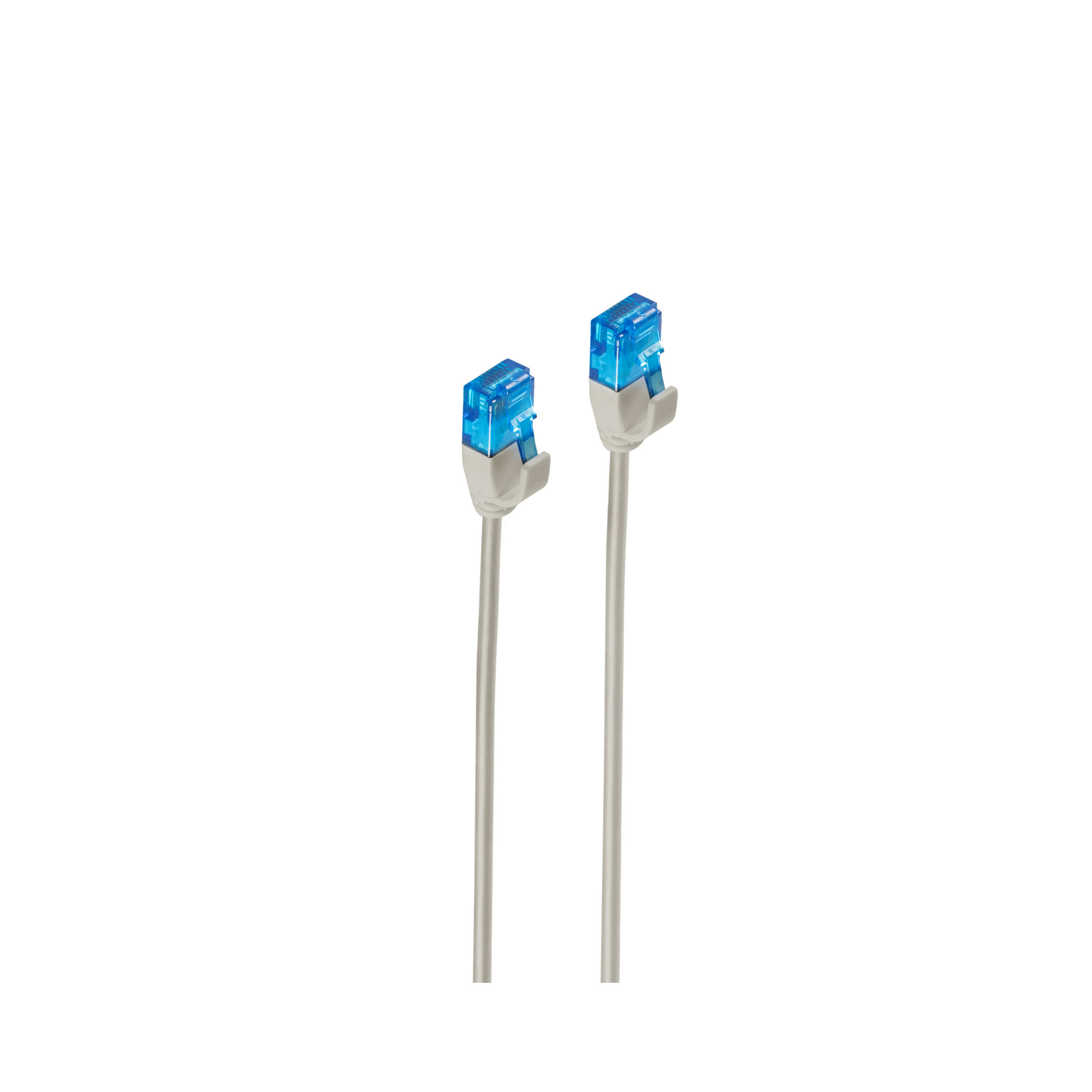Due cavi Ethernet grigi con connettori blu su sfondo bianco.
