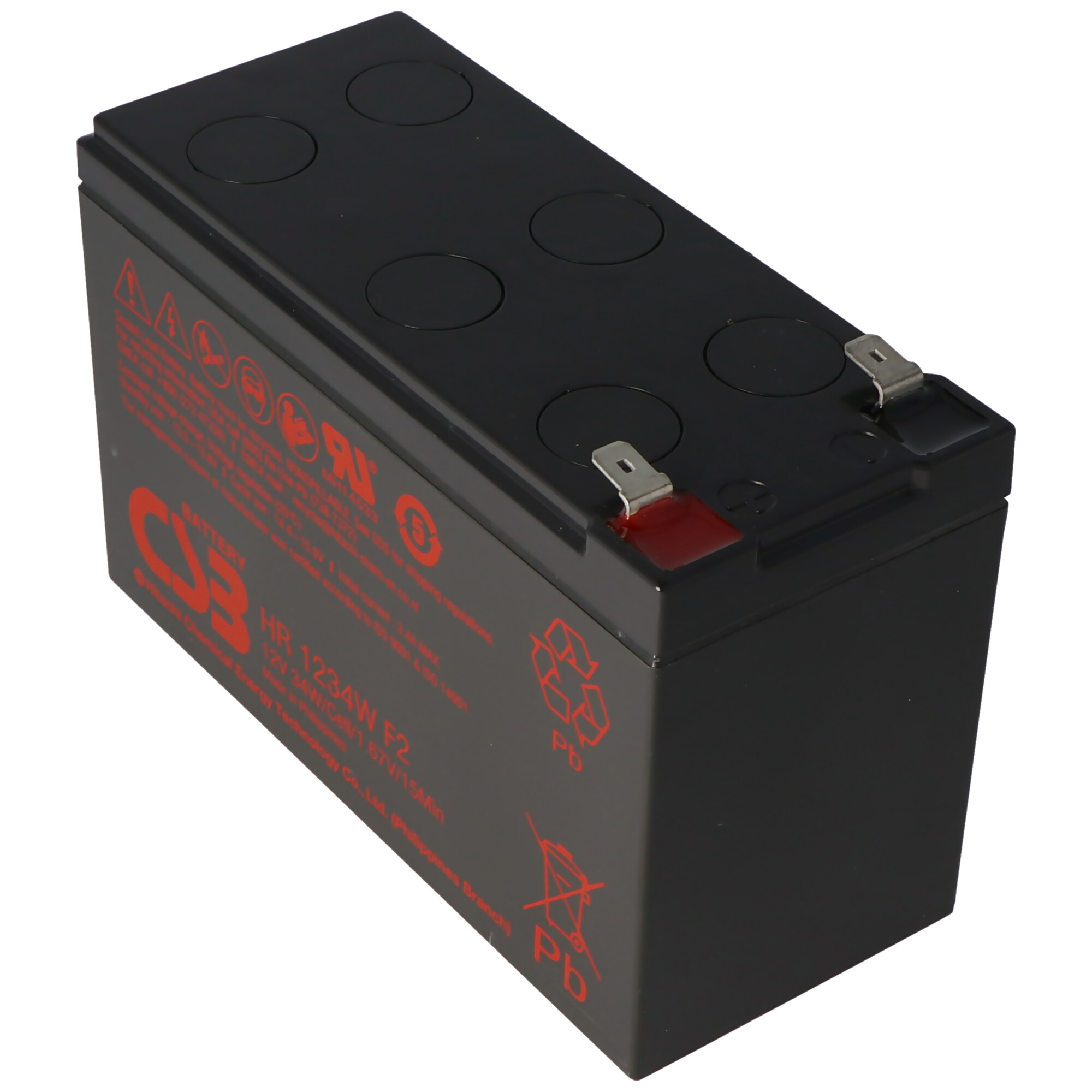Schwarze Batterie mit Etiketten und roten Anschlüssen. Sie hat eine rechteckige Form.