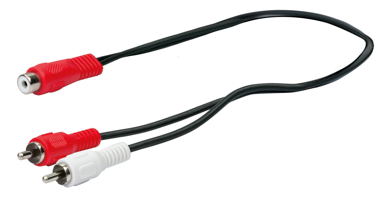 Schwarzes Kabel mit roten und weißen Steckern. Ein Stecker ist RCA-Buchse.