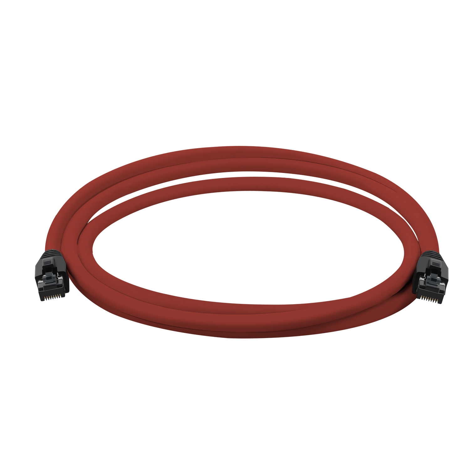 Rotes Ethernet-Kabel. Zwei schwarze Stecker an den Enden. Weißer Hintergrund.