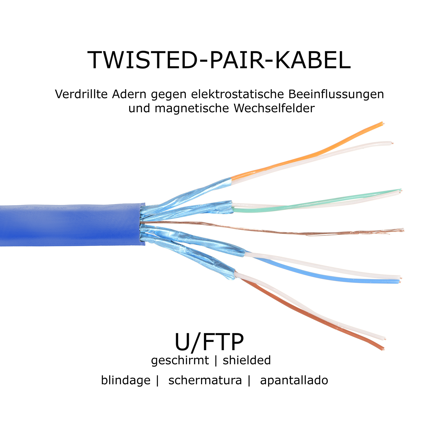 Blaues Twisted-Pair-Kabel mit freiliegenden Drähten und Text auf Deutsch und Spanisch.