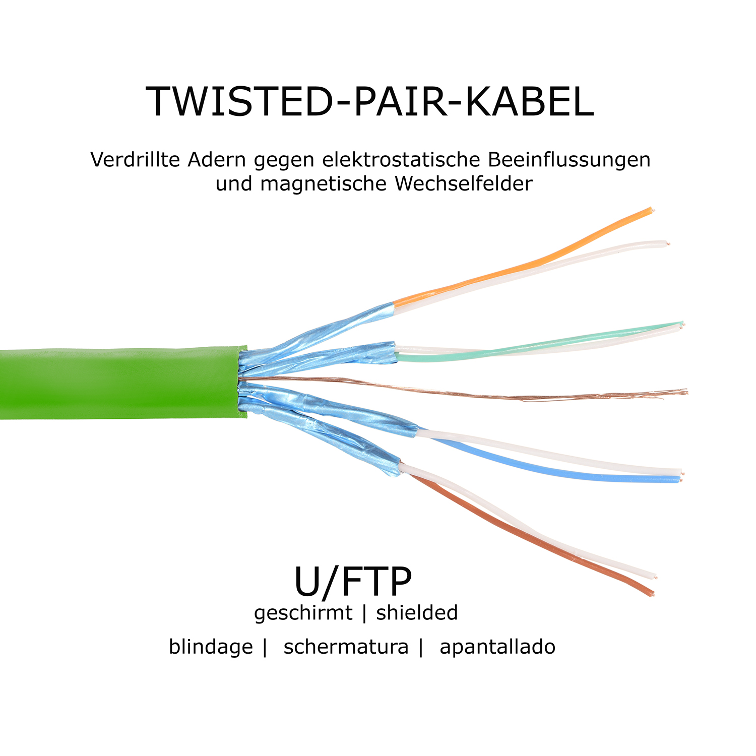 Geschnittenes Ethernet-Kabel mit farbigen Drähten. Text auf Deutsch. Weißer Hintergrund.
