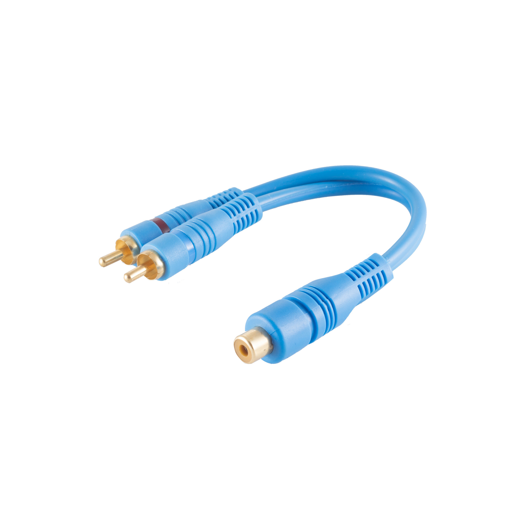 Blaues Audiokabel mit zwei goldfarbenen Steckern und einem Buchsenanschluss.